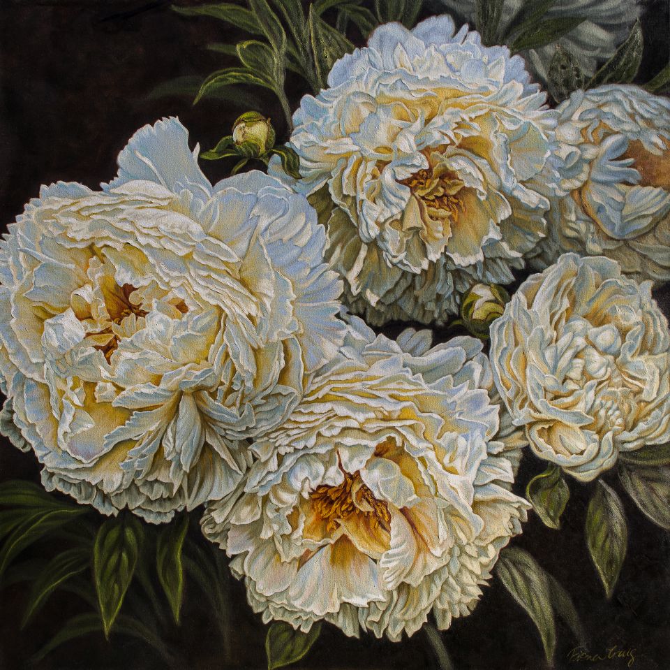 Antique White Peonies