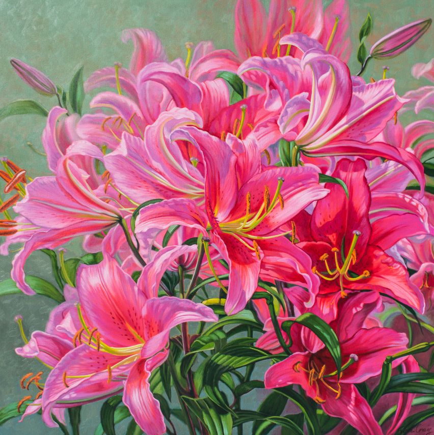 Hot Pink Asiatic Lilies