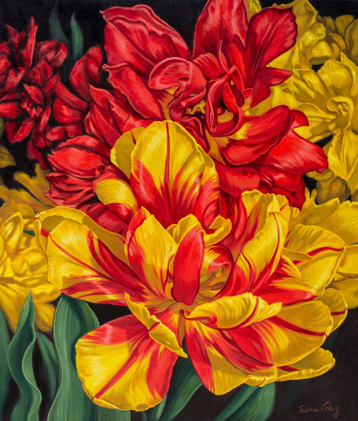 Tulipomania: Red and Yellow