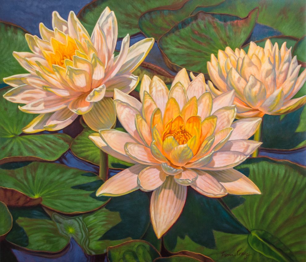 Water Lilies 6