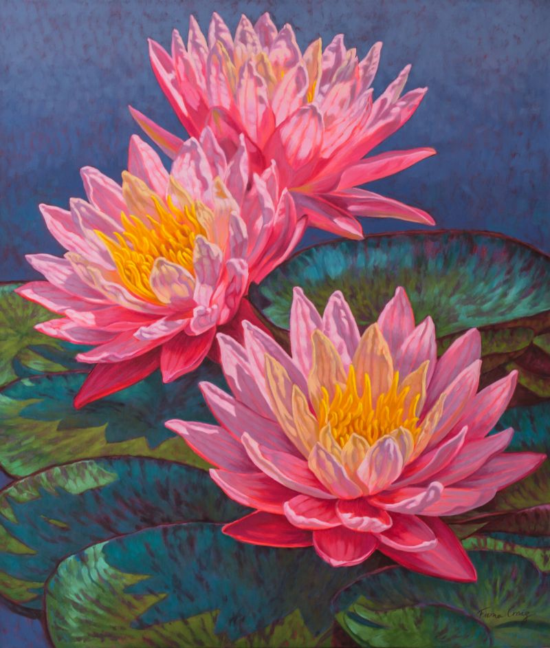 Water Lilies: Sunfire