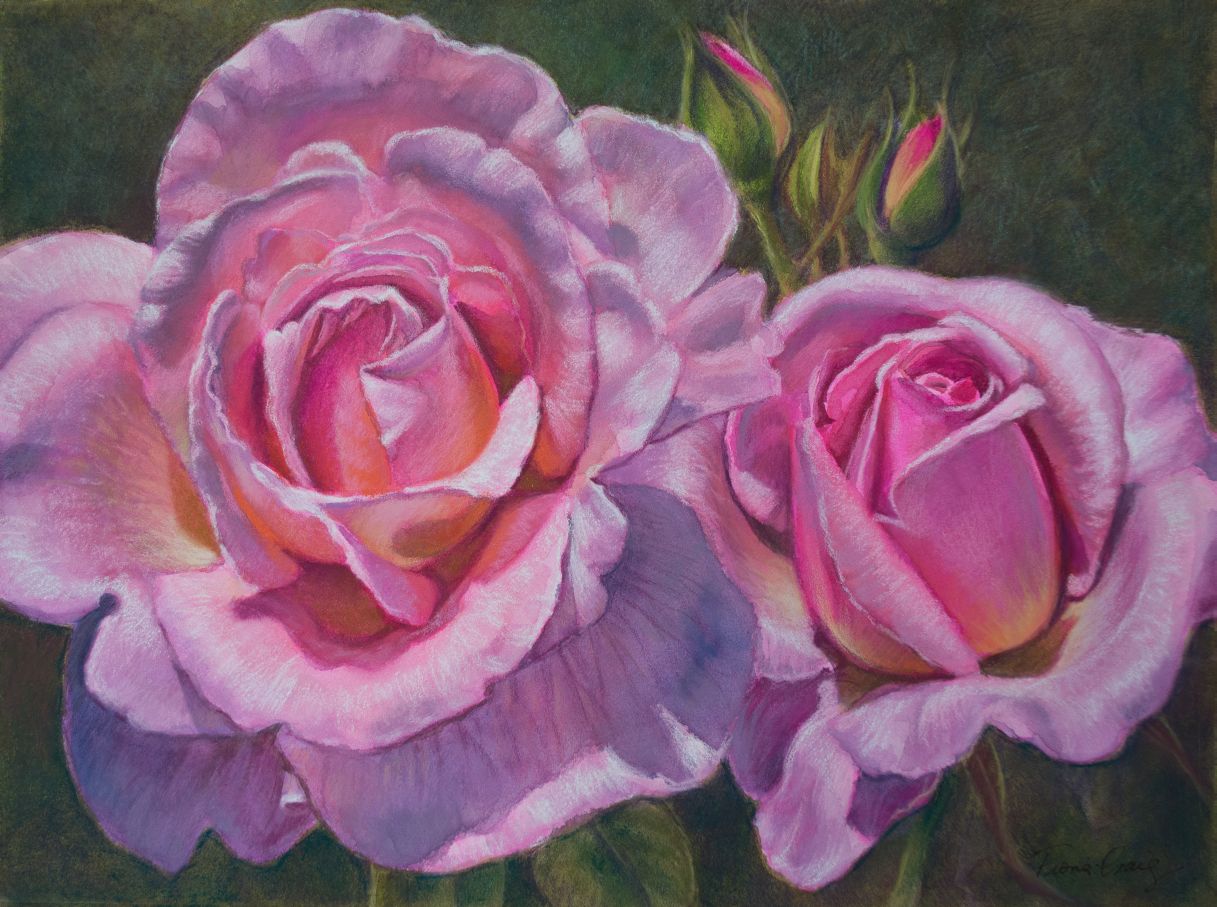 Pink Roses, 1