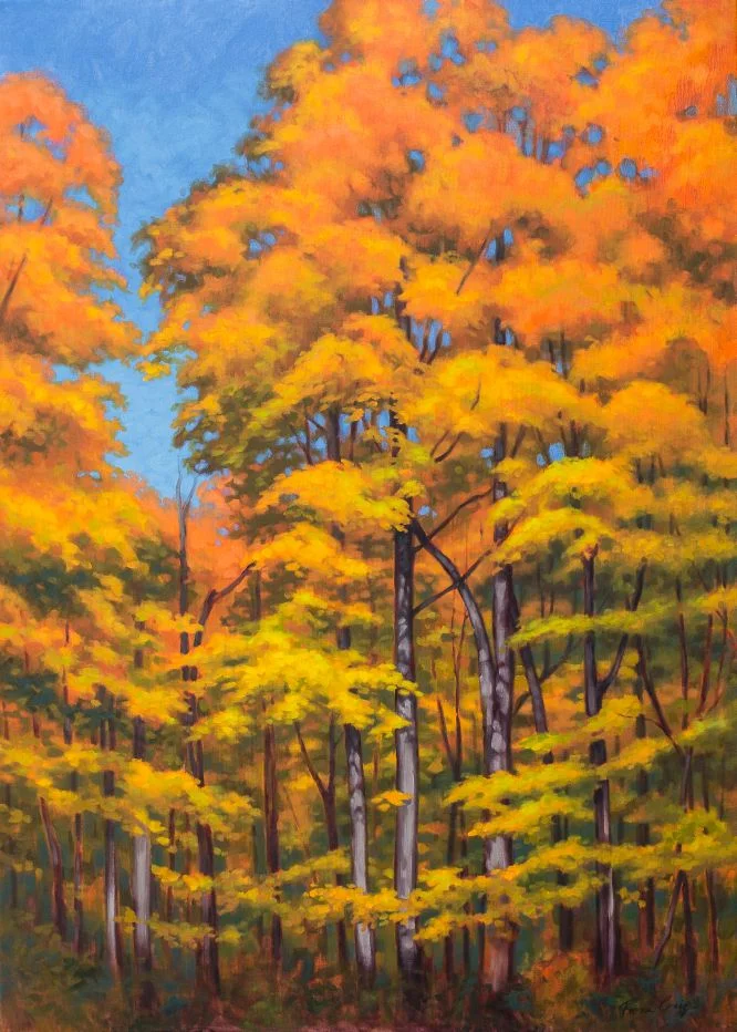 25%_Fiona-Craig_Autumn-Forest-1_oil_42x30in. - Copy.jpg