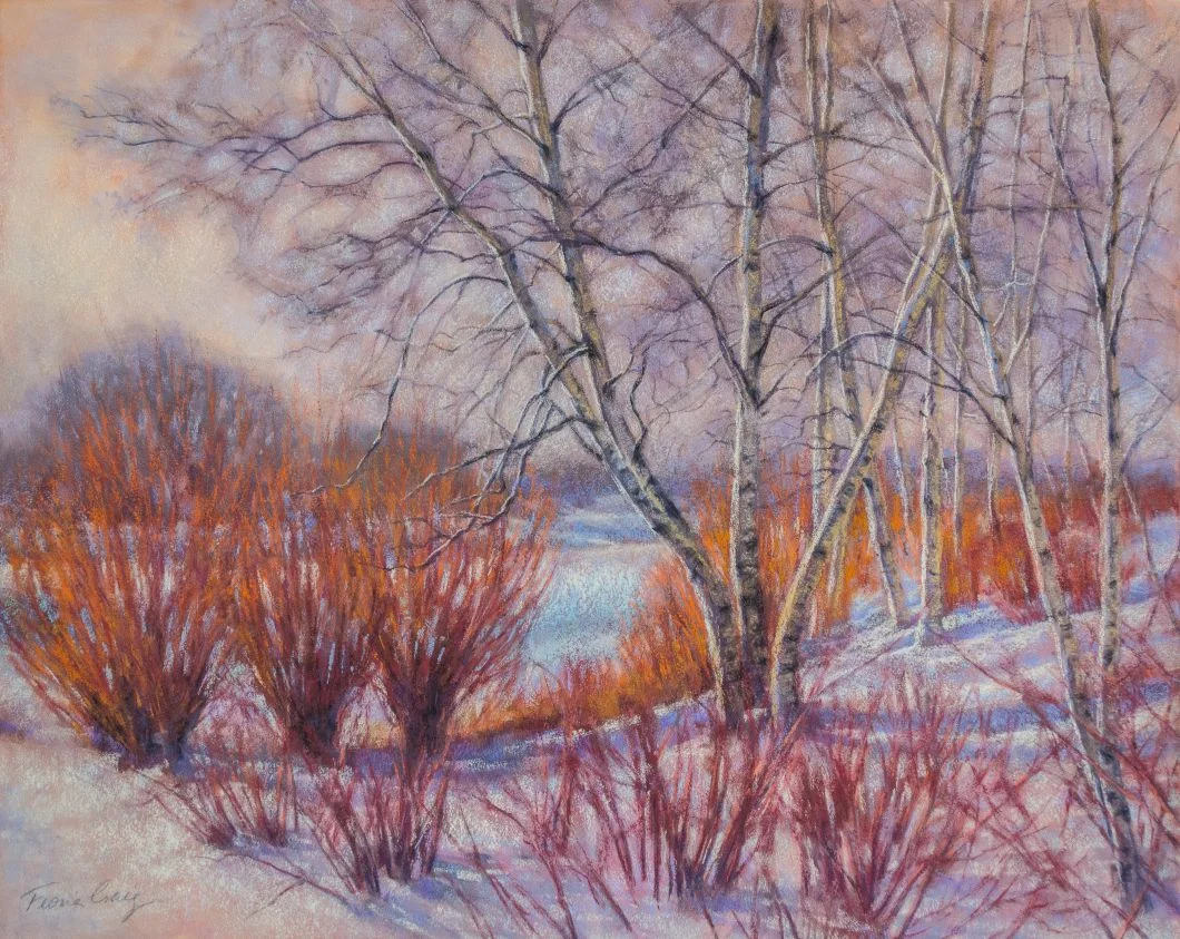LR_23%_Birches and Red-Willows_pastel_16x20in.Paintings-by-Fiona-Craig-1.jpg