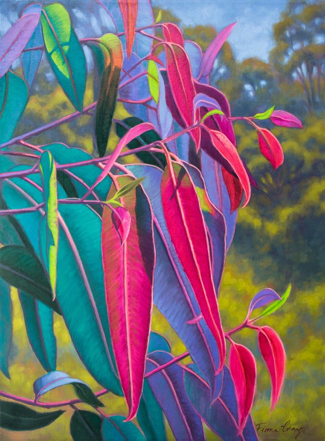 LR_23%_Fiona-Craig_Sunlit-Gumleaves-17_oil_42x18in-1.jpg