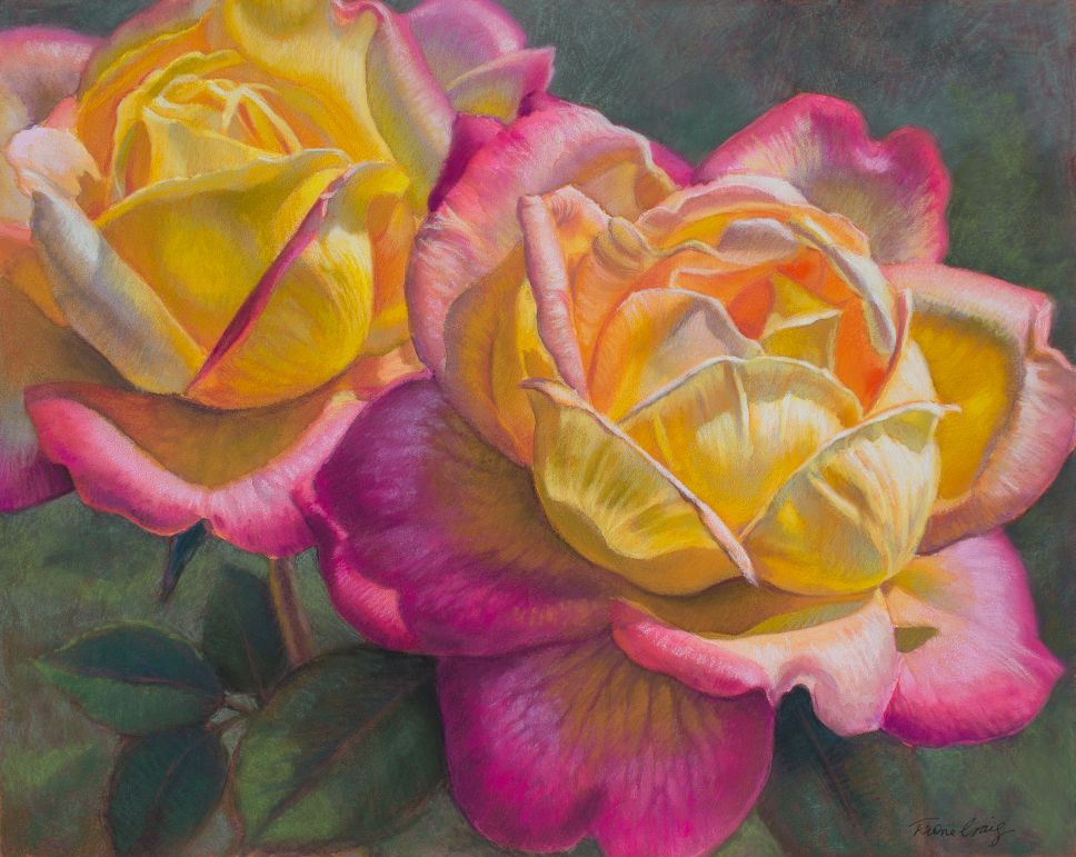 LR_22%_Fiona-Craig_Peace-Roses-1_watercolour-and-Pastel_12x16ins_2018. (1 of 1).jpg
