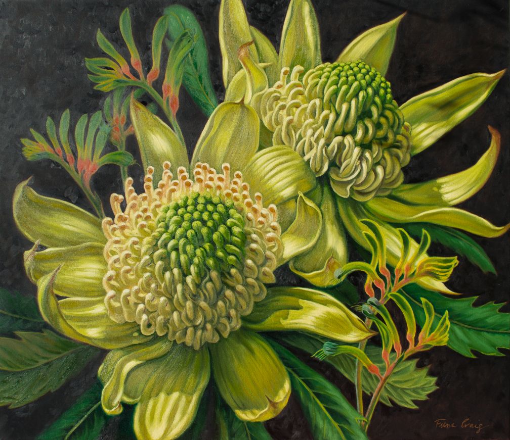 Two White Waratahs with Kangaroo Paw