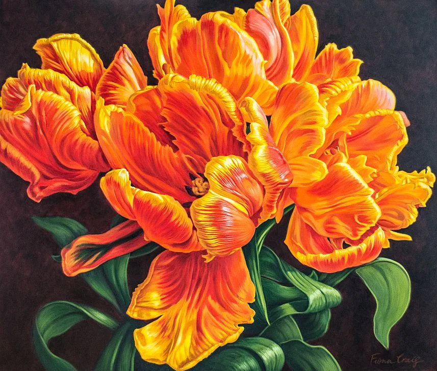 Tulipomania 11