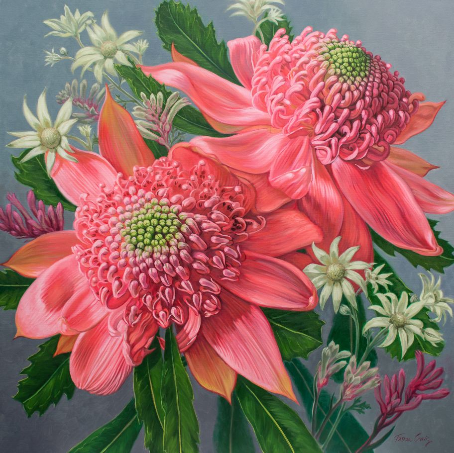 Pink Waratahs and Flannel Flowers