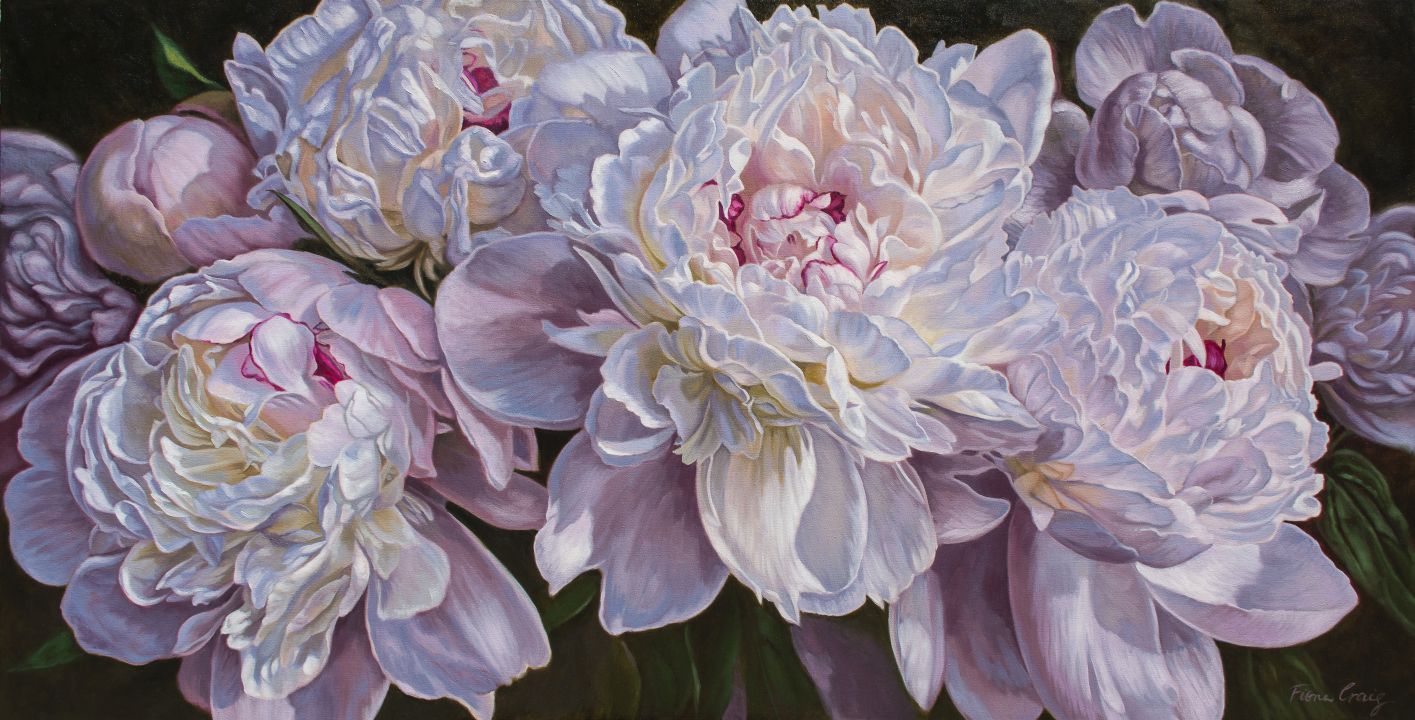 Panorama of Peonies