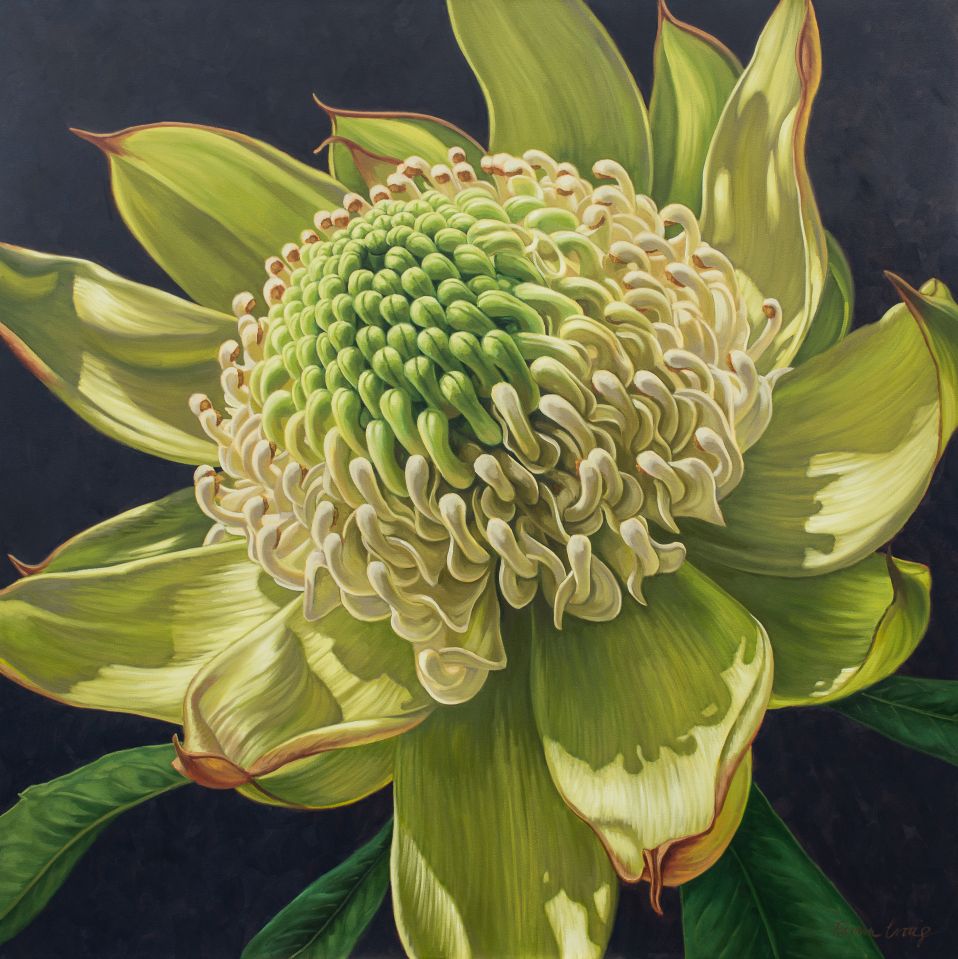 Green Waratah on Indigo