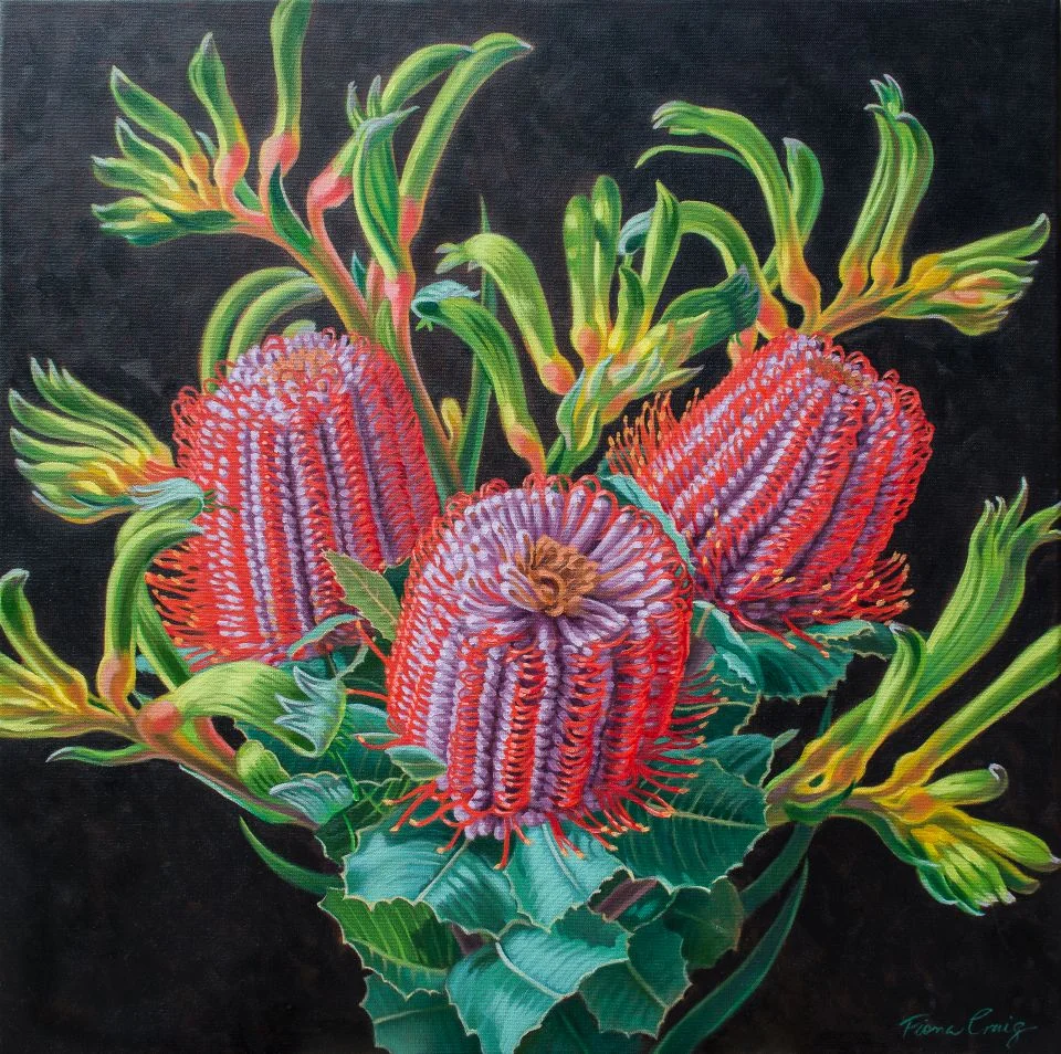 Scarlet Banksias and Kangaroo Paws 1