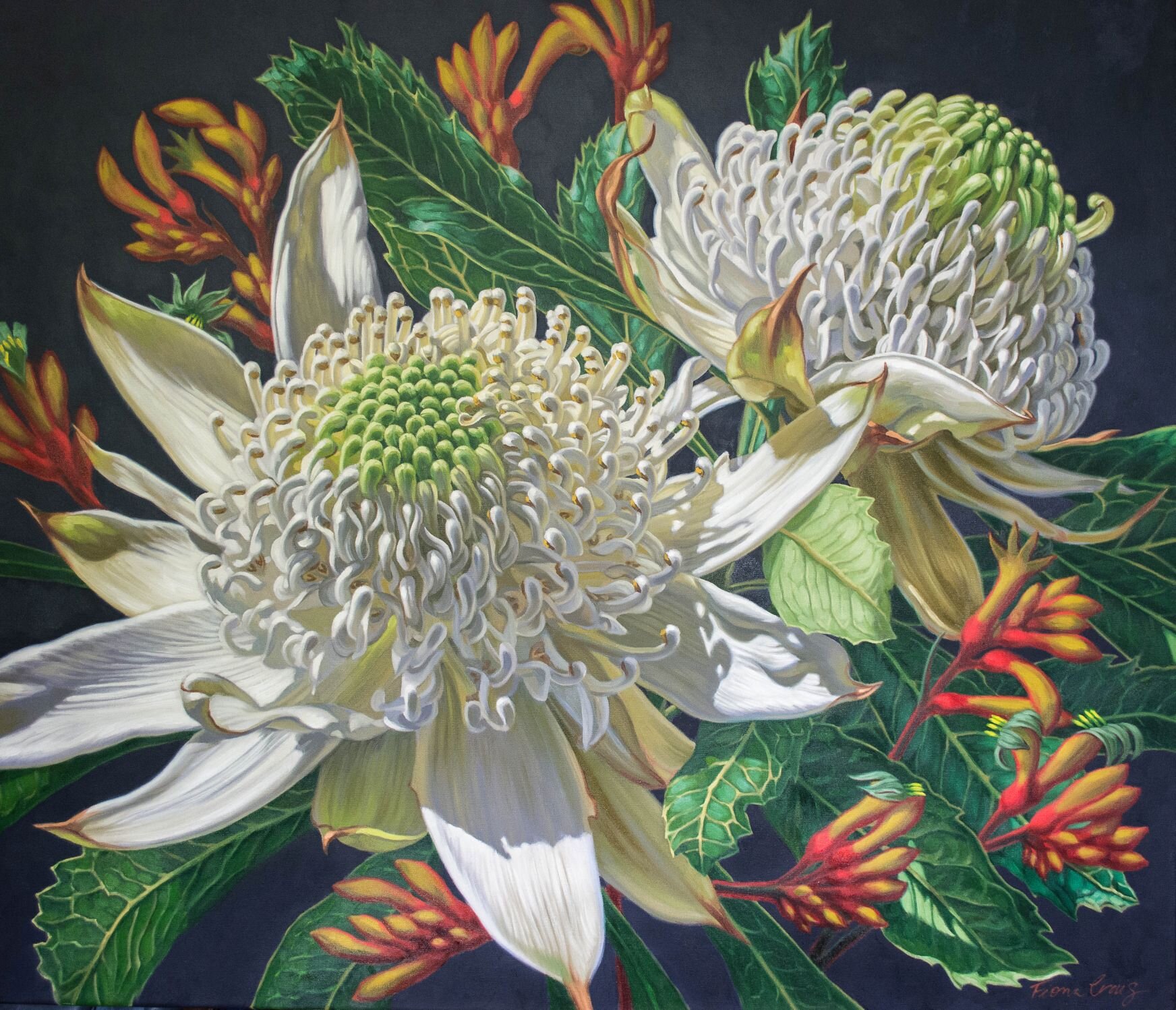 White Waratahs with Red Kangaroo Paws