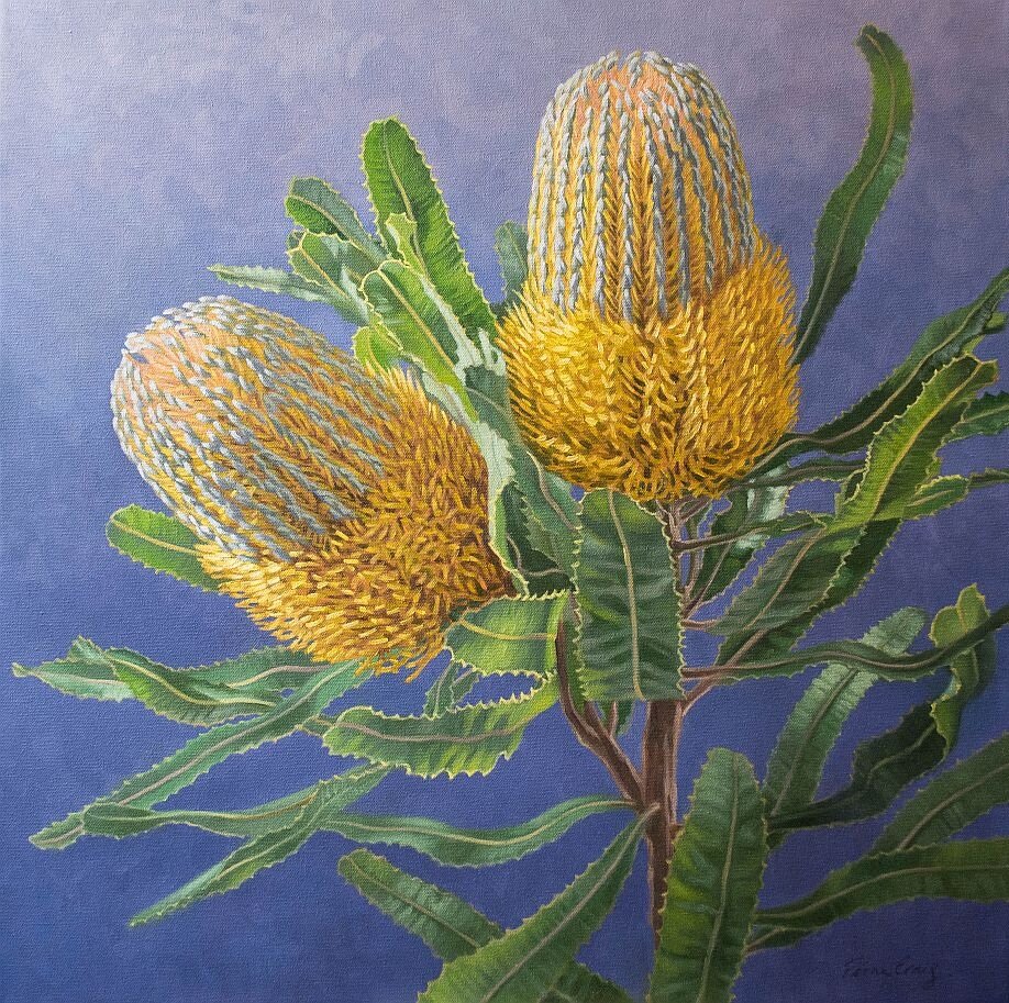 Golden Banksias