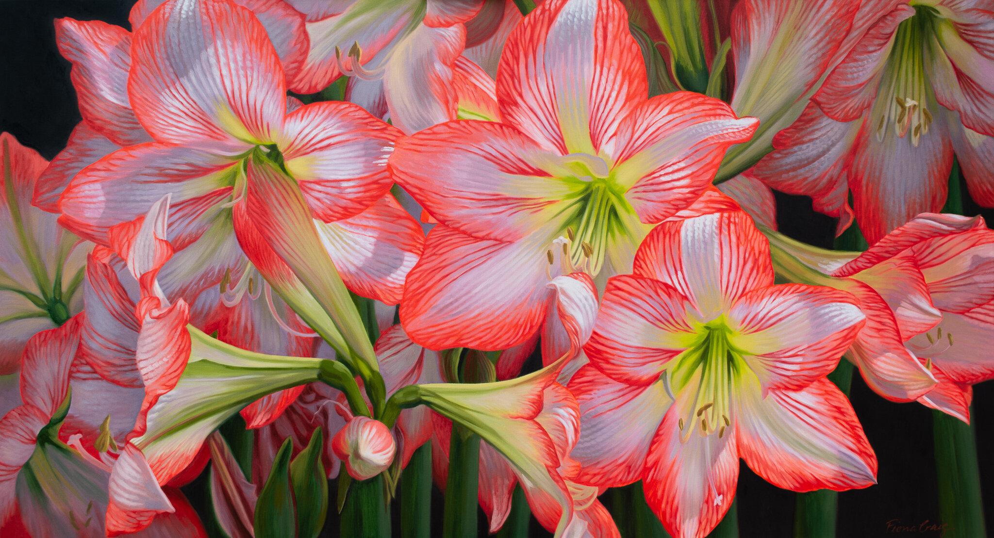 SOLD commission, 'Panorama of Lilies'