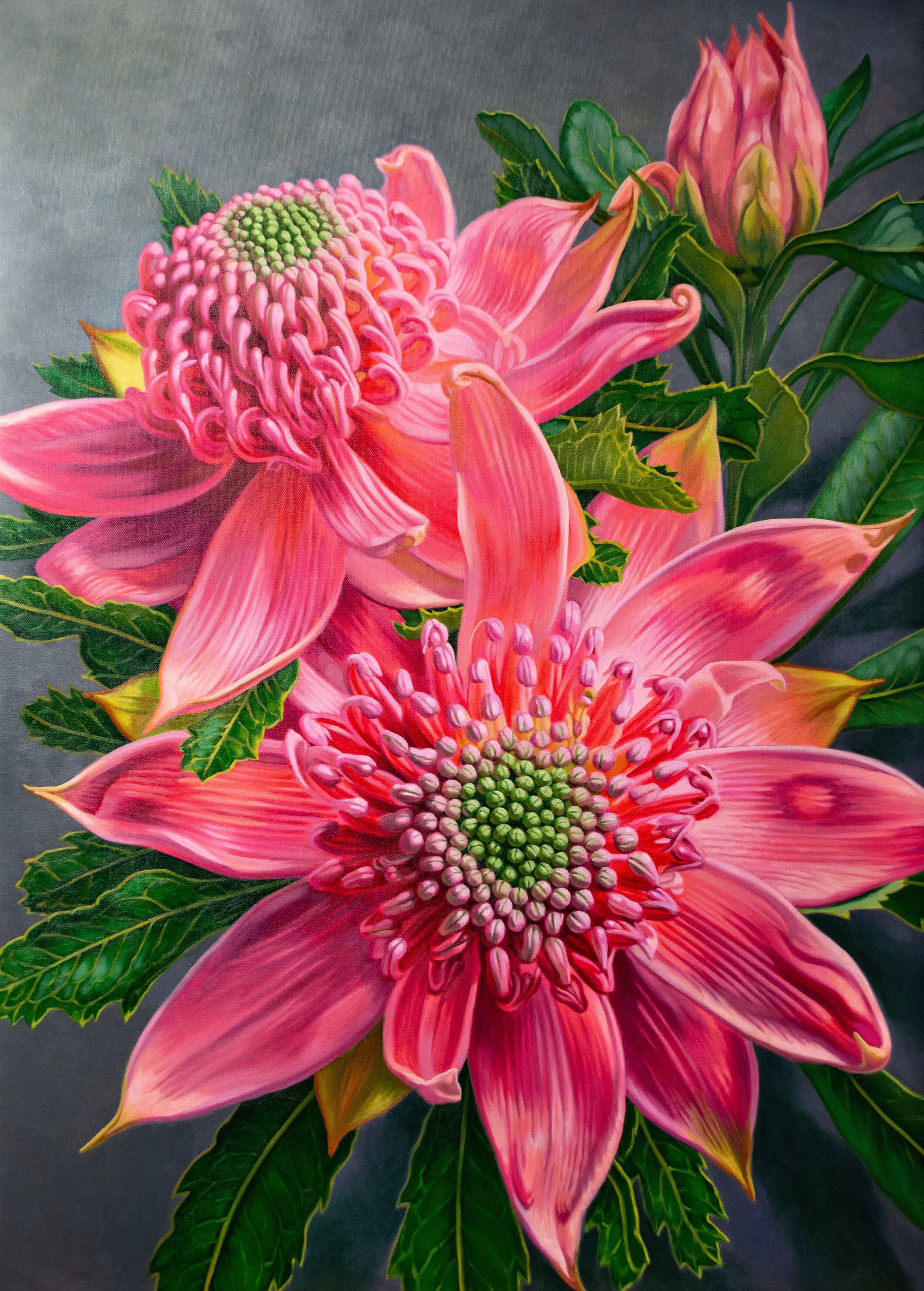 SOLD. Contact me to order a similar commission. Pink Waratahs and Bud