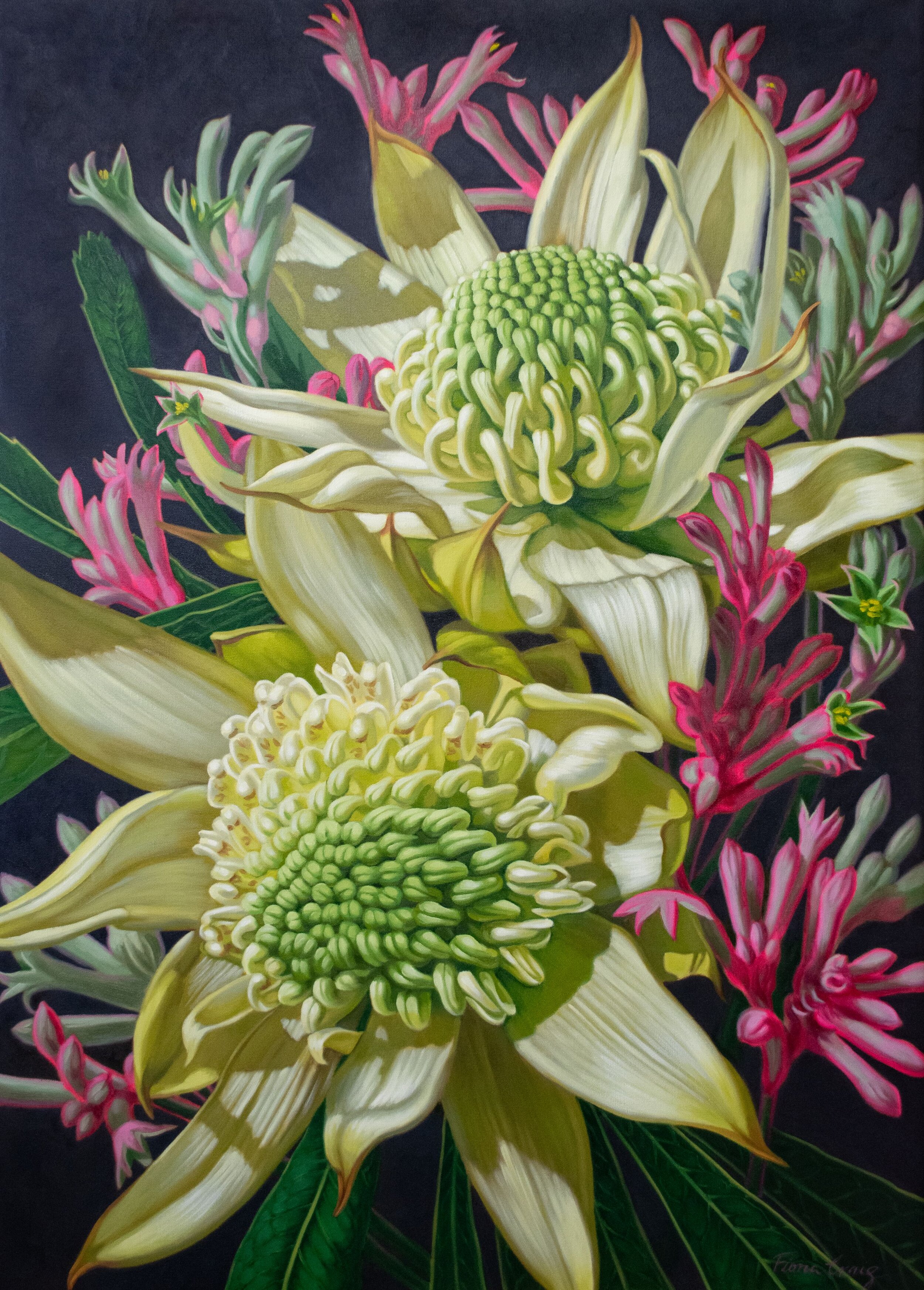 Green Waratahs with Pnk Kangaroo Paws