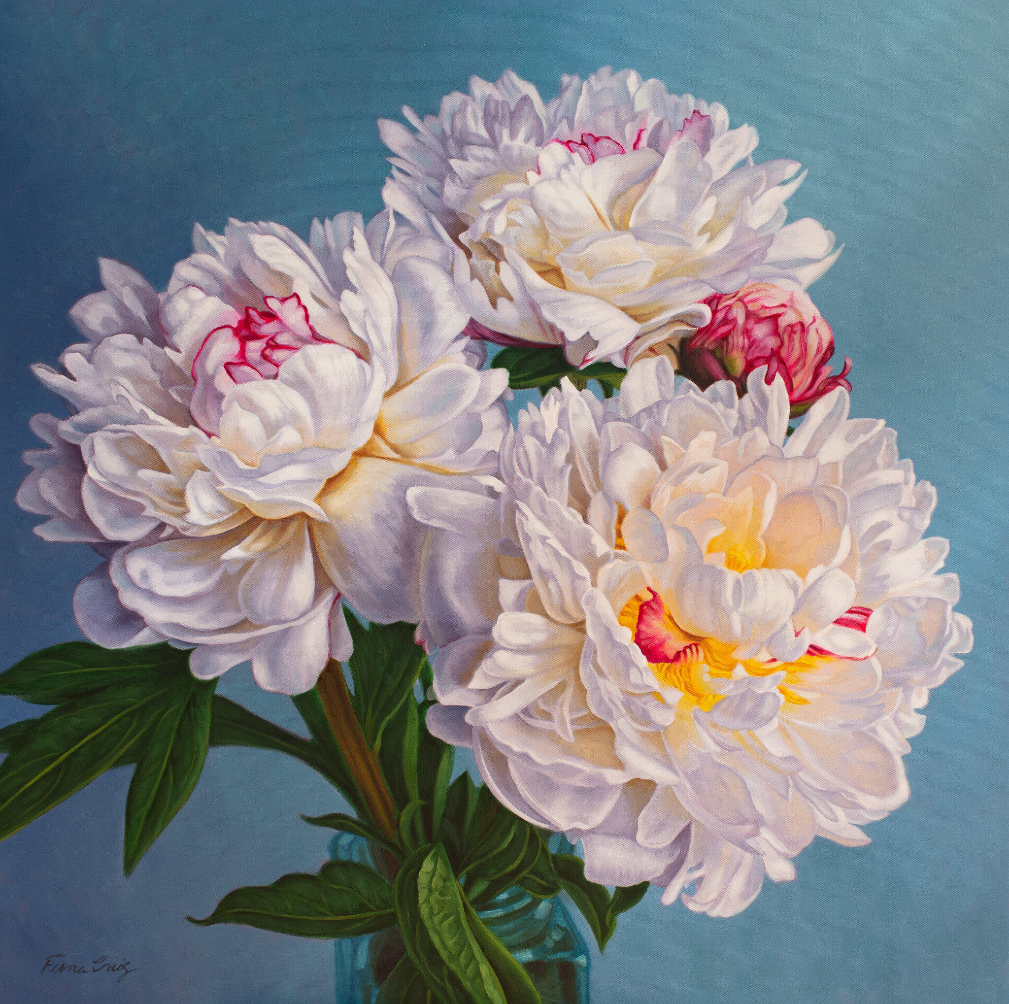 White Peonies on Blue