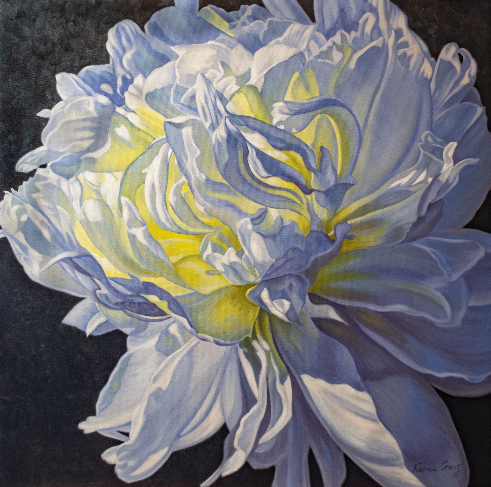 SOLD. Peony in Blue