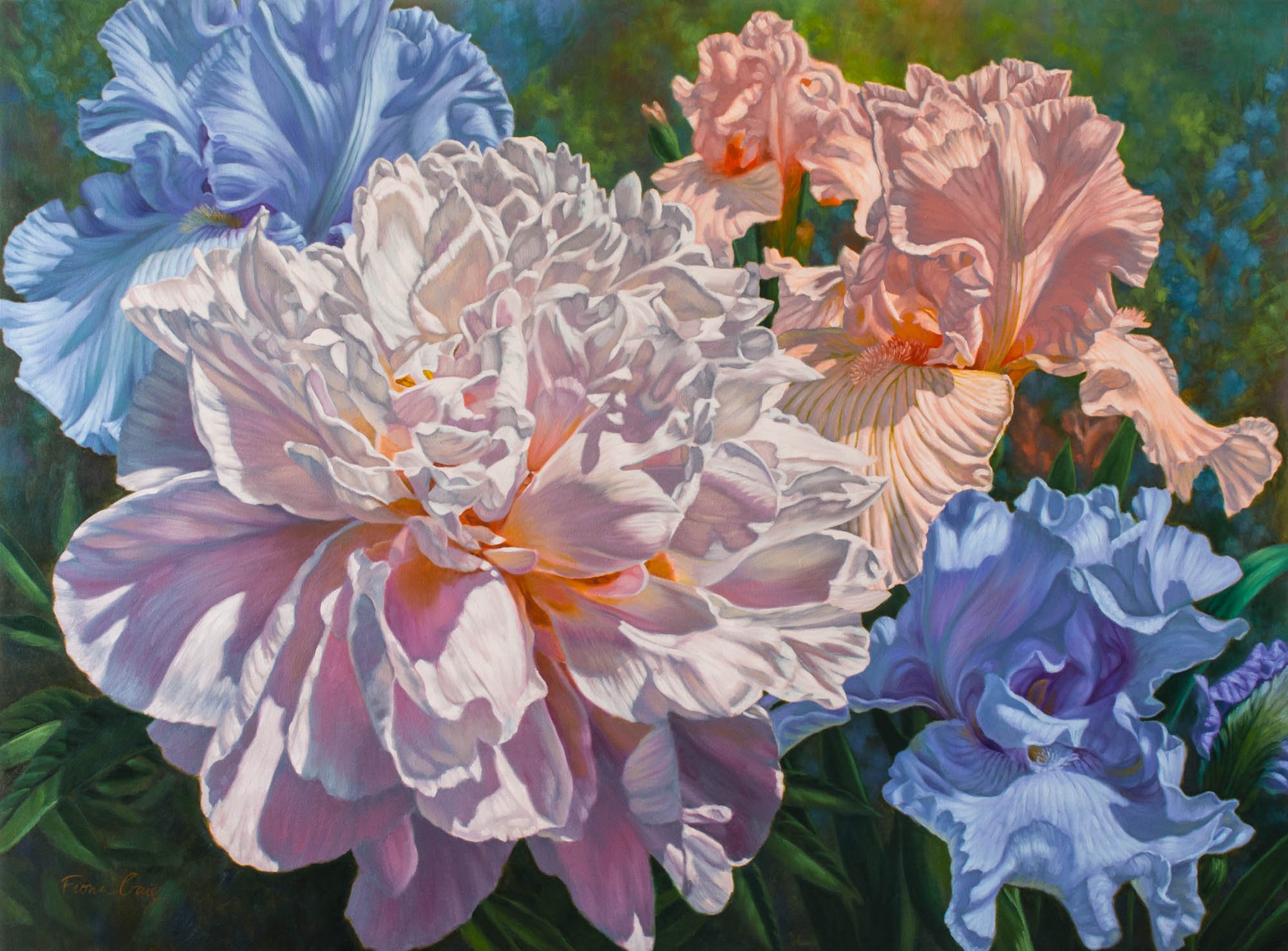 Peony and Irises