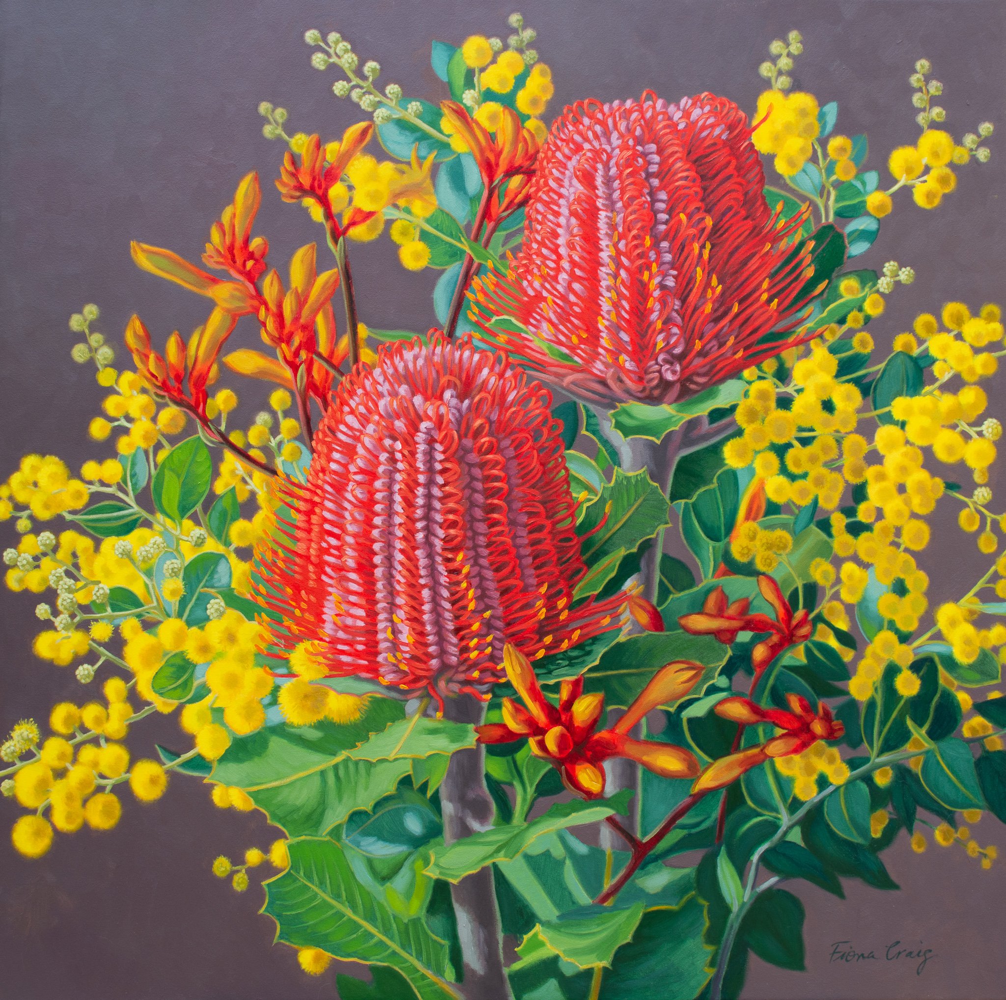 Scarlet Banksias and Wattle, 2