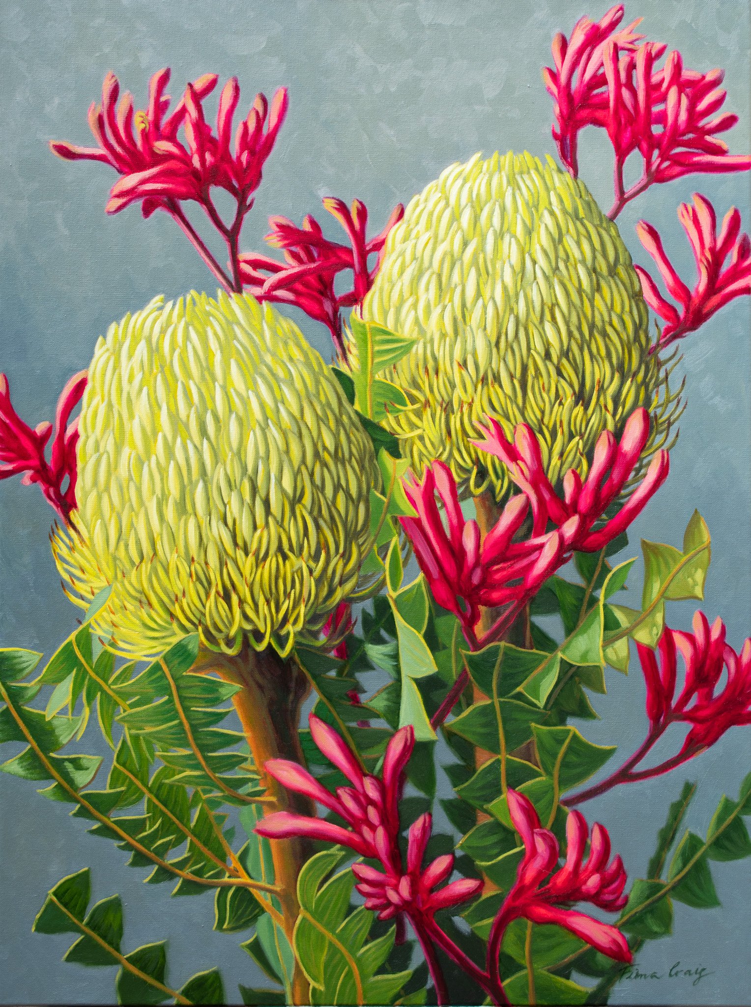 Banksias and Red Kangaroo Paws