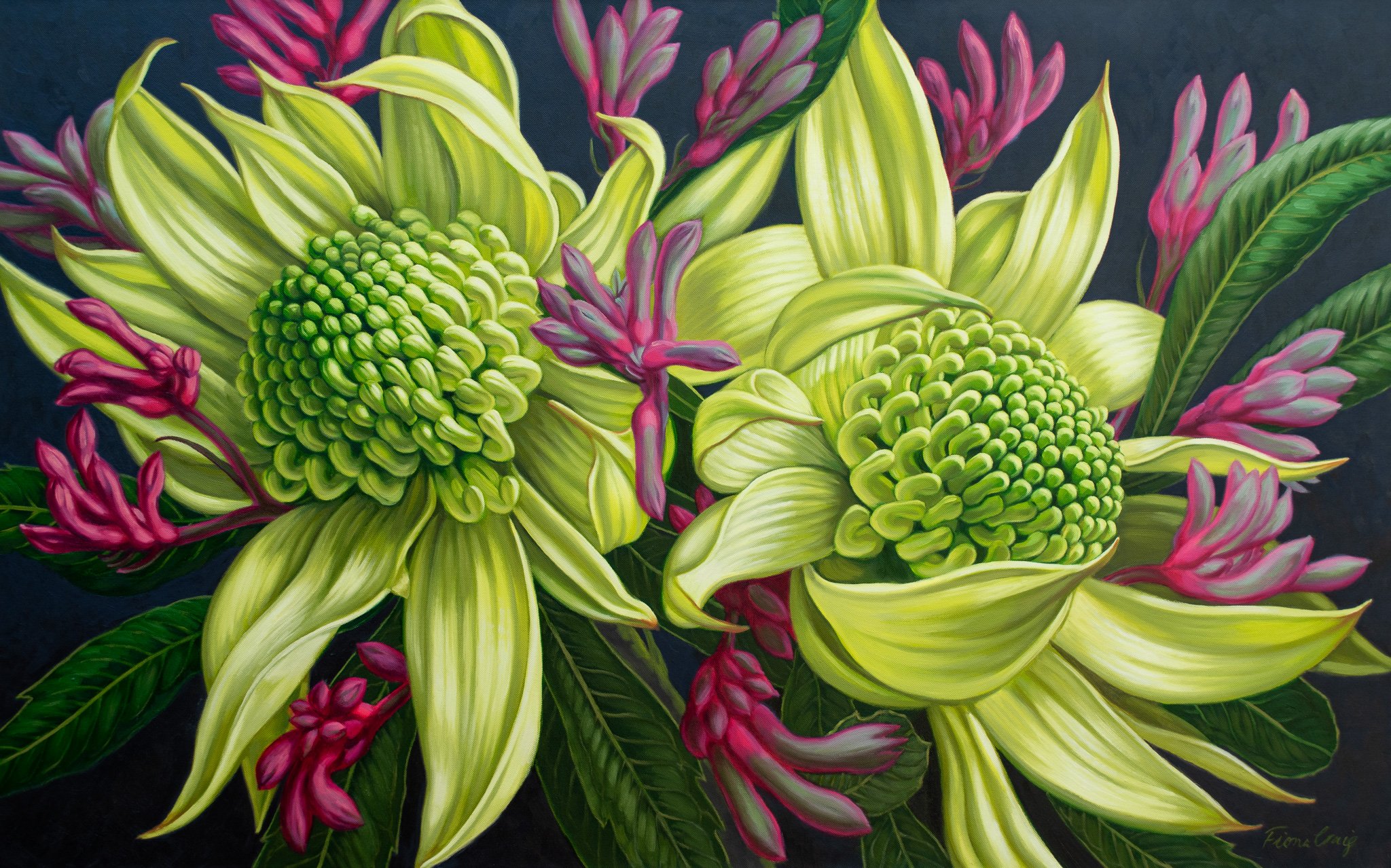 Green Waratahs with Kangaroo Paws