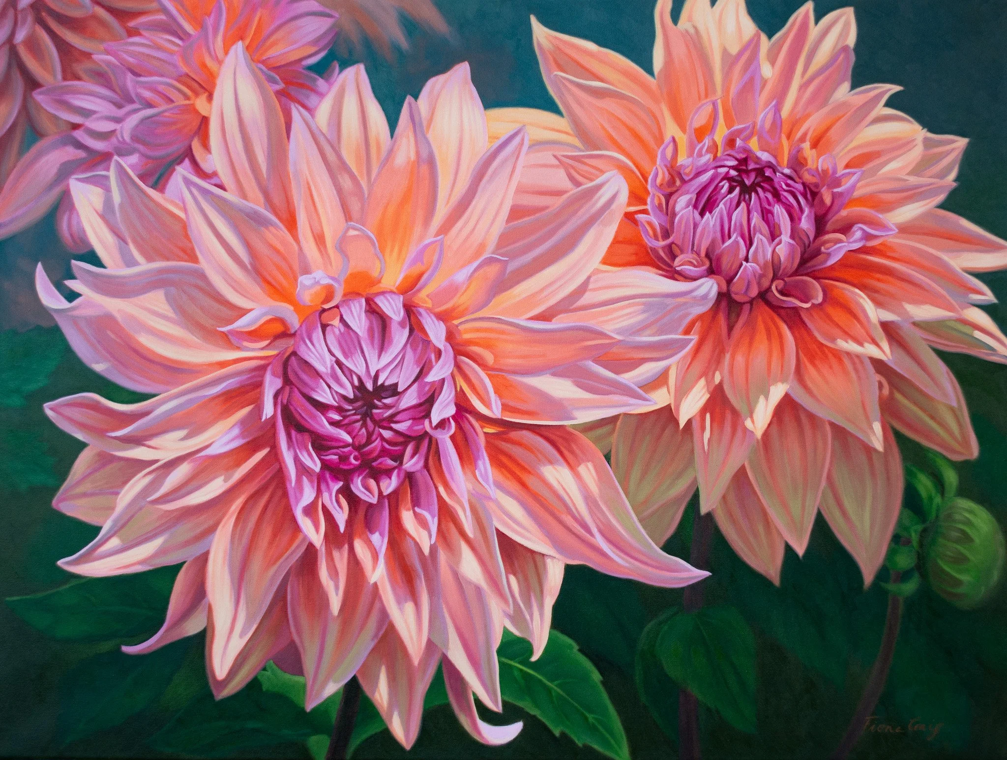 SOLD. Dahlias 1