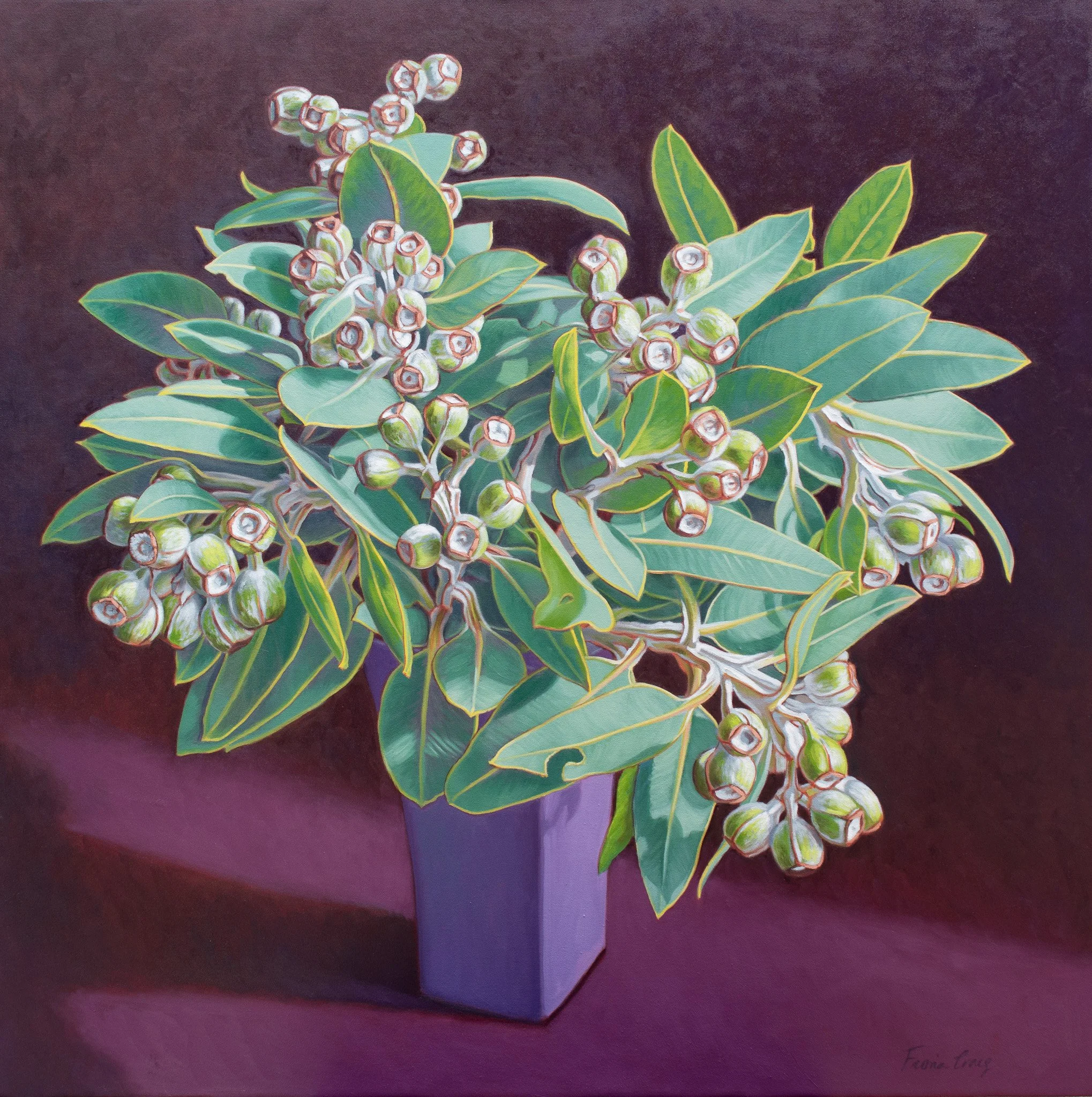 Tetragona-Gumnuts-small-img-oils-86x86cm-F-Craig-2026.jpg