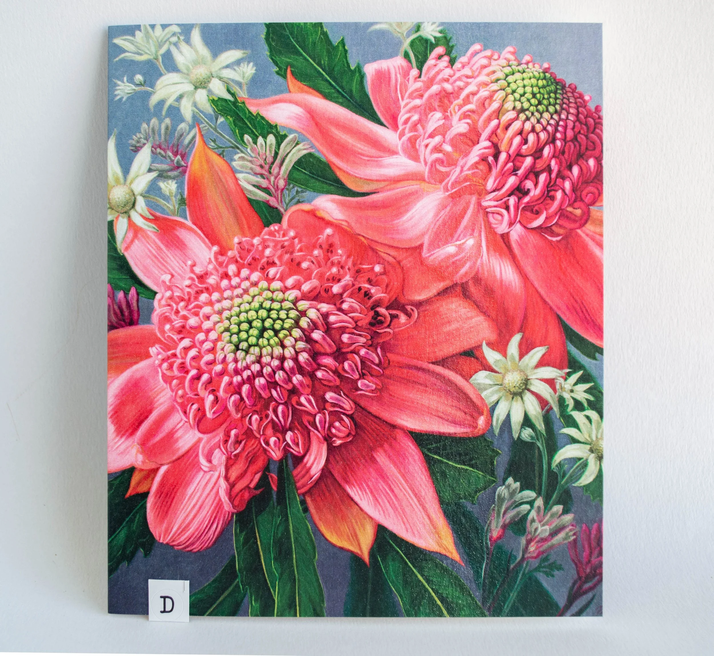 Pink-Waratahs-Blank-Card-F-Craig.jpg