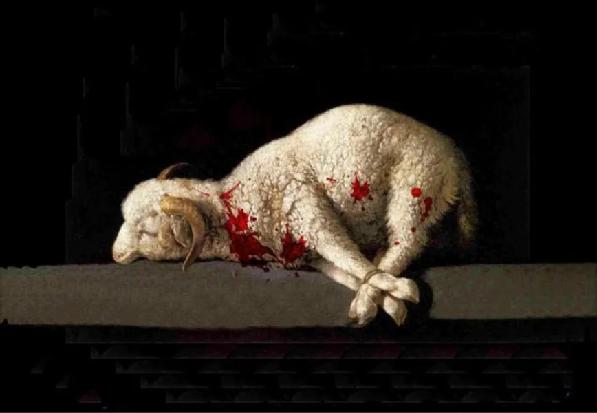 Lamb.jpg