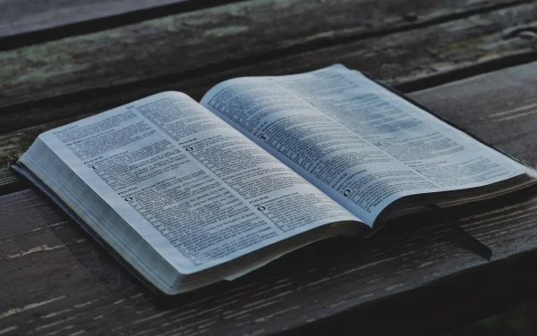 Bible pic3.jpg