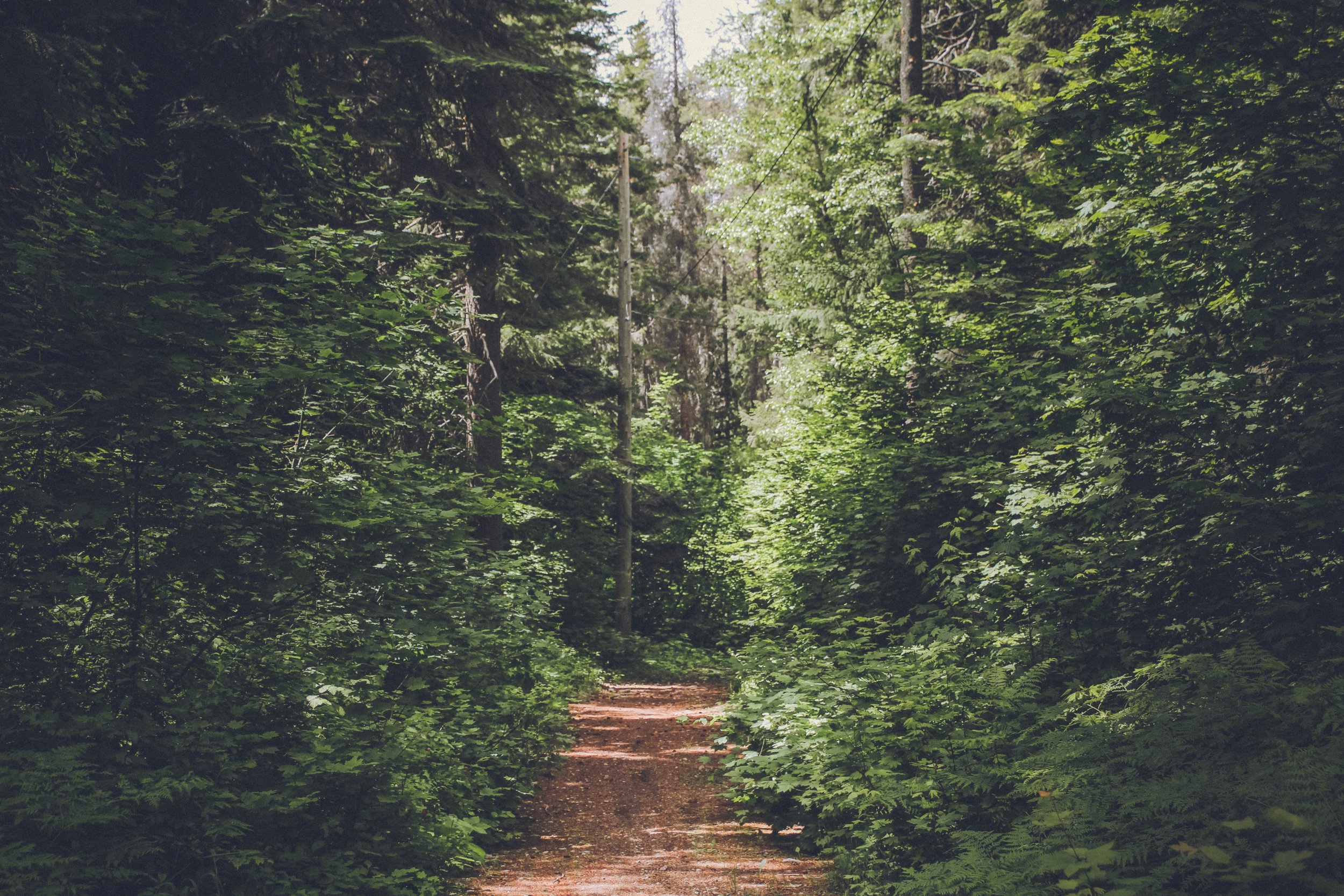 rachel-clark-1395521-unsplash.jpg