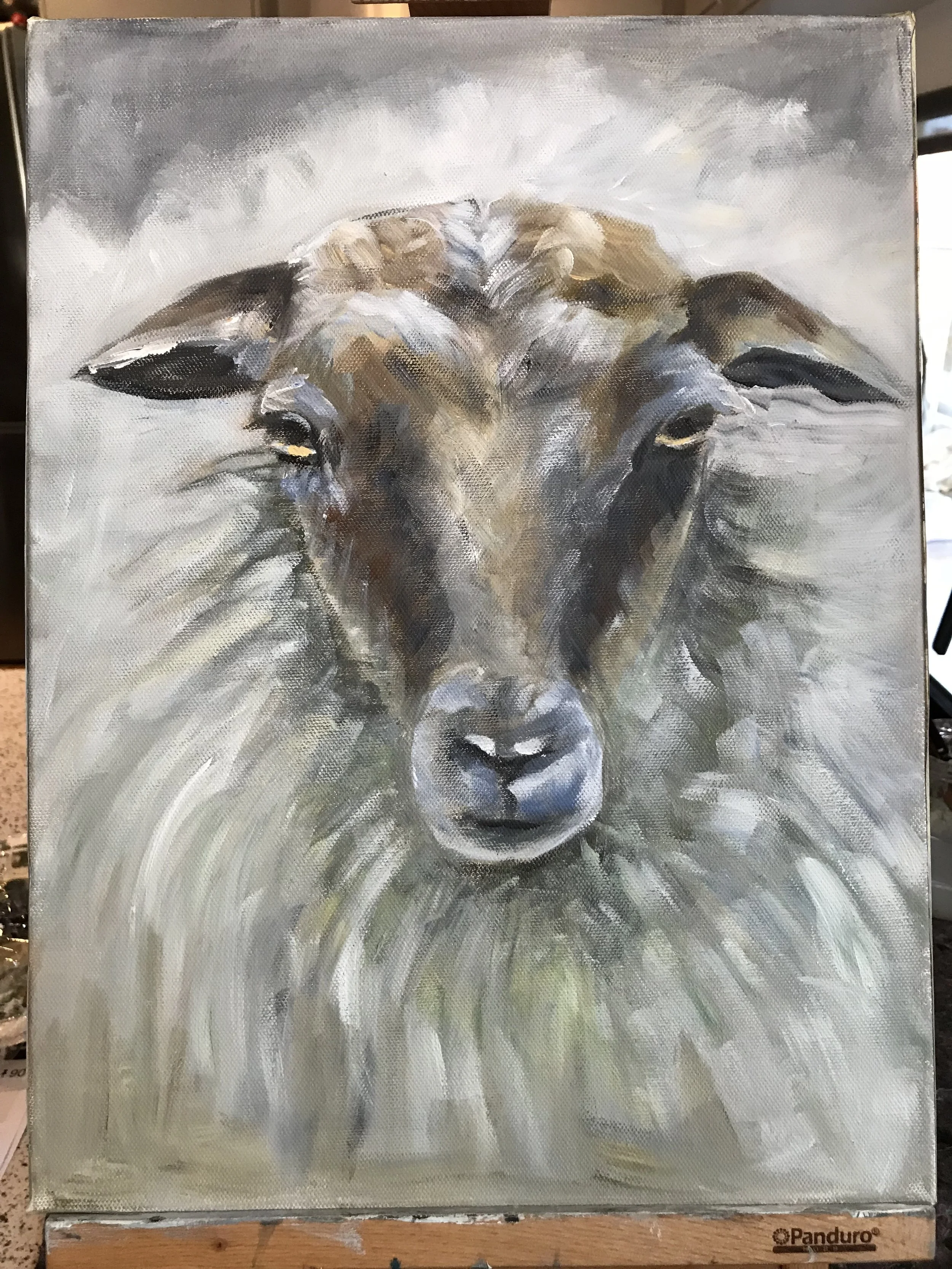 Shep Potrait no 1, oil on canvas 30x40x3,5.JPG