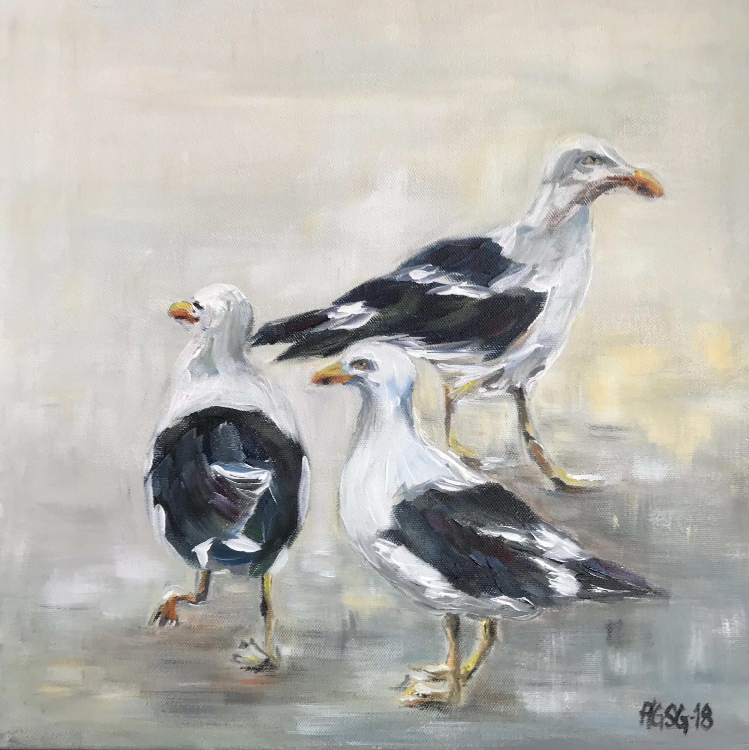 Great black-back gulls