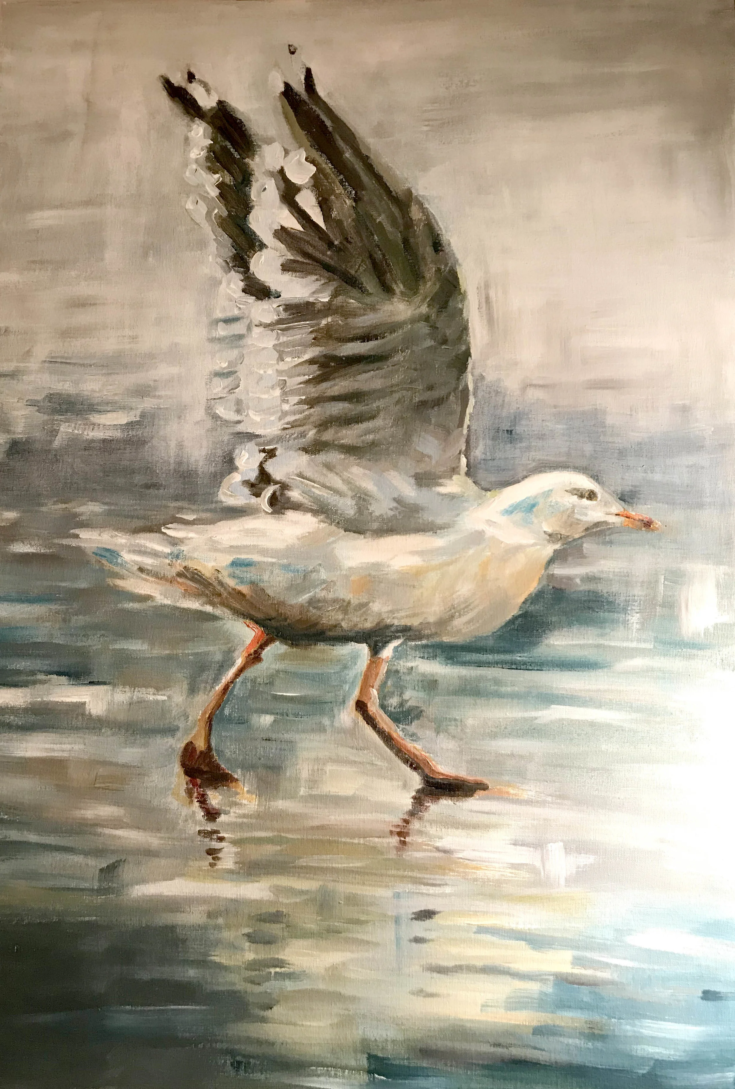 Herring gull ready for take-off