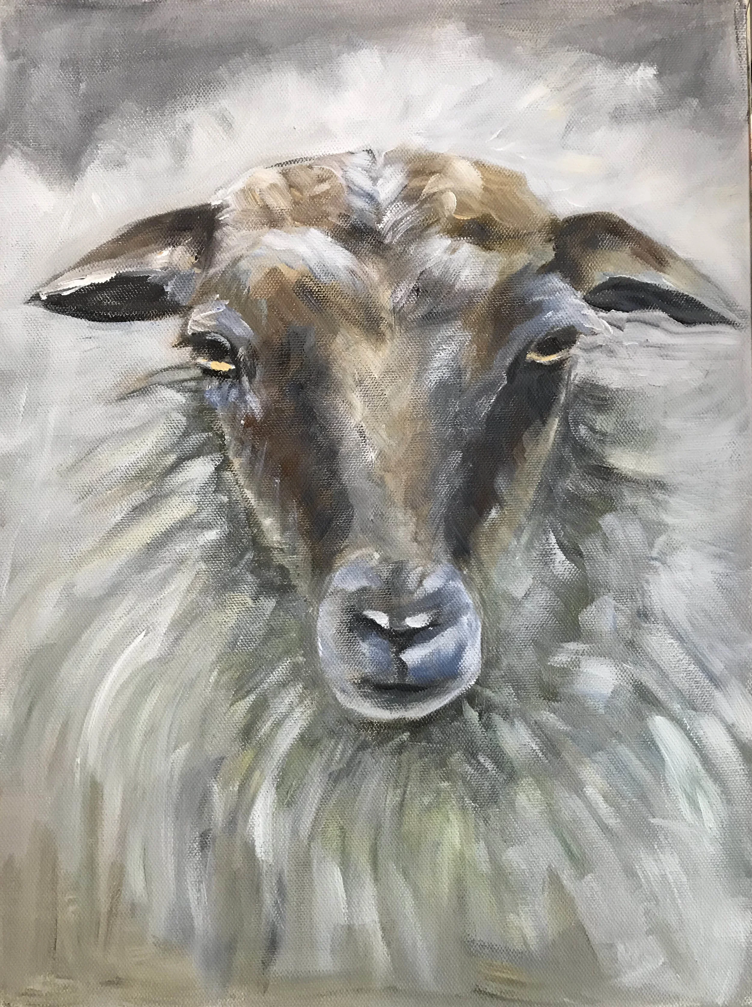 Sheep portrait No. 1