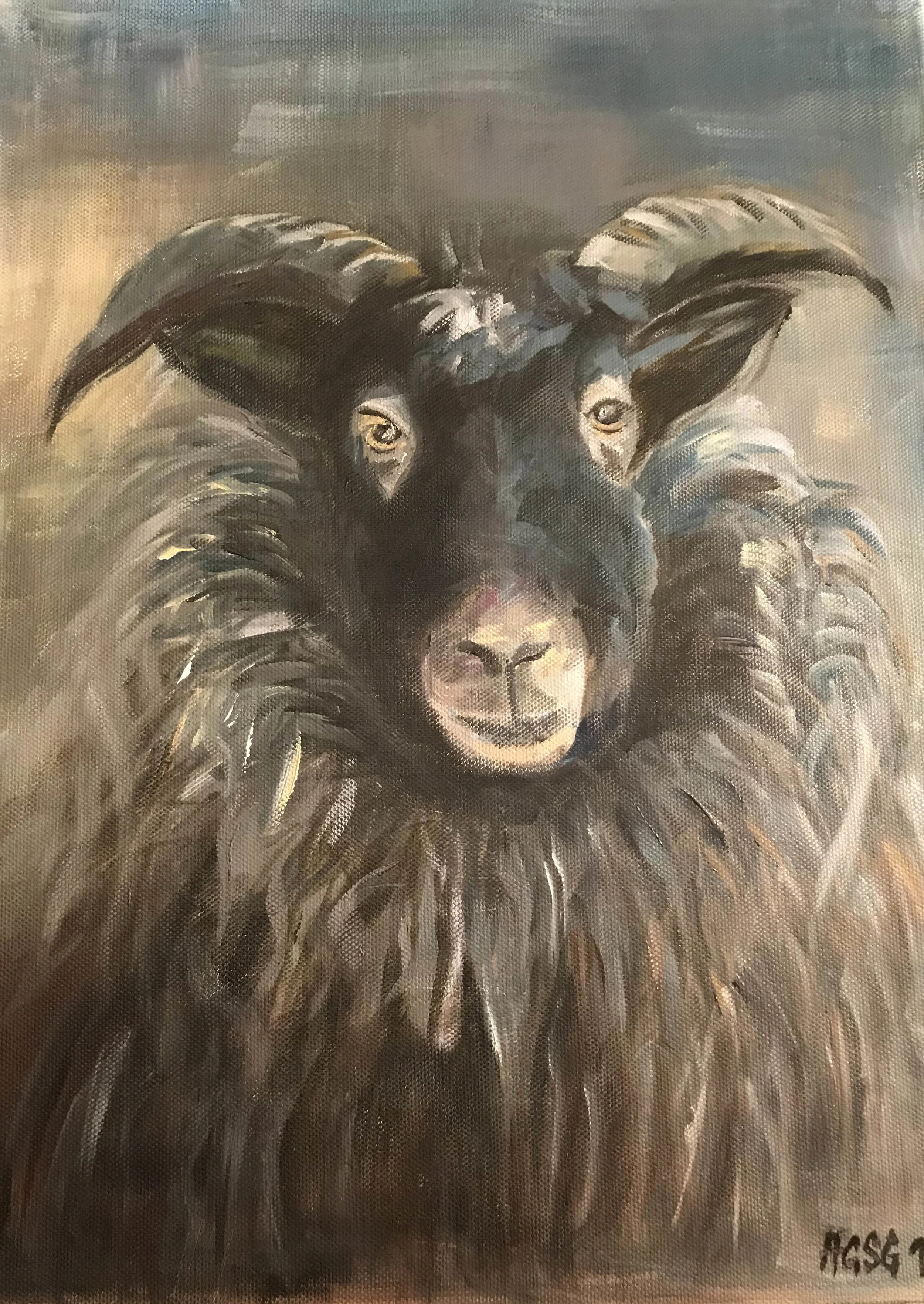 Sheep portrait No. 2