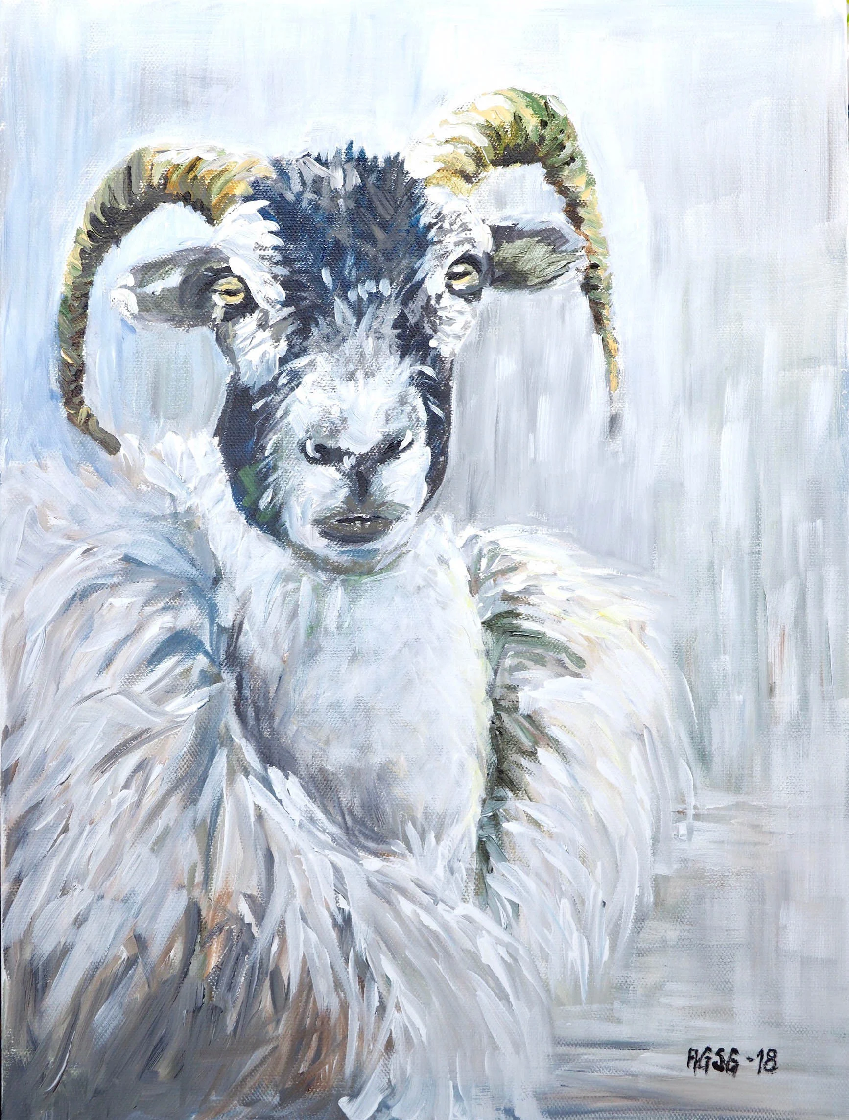 Sheep portrait No. 4