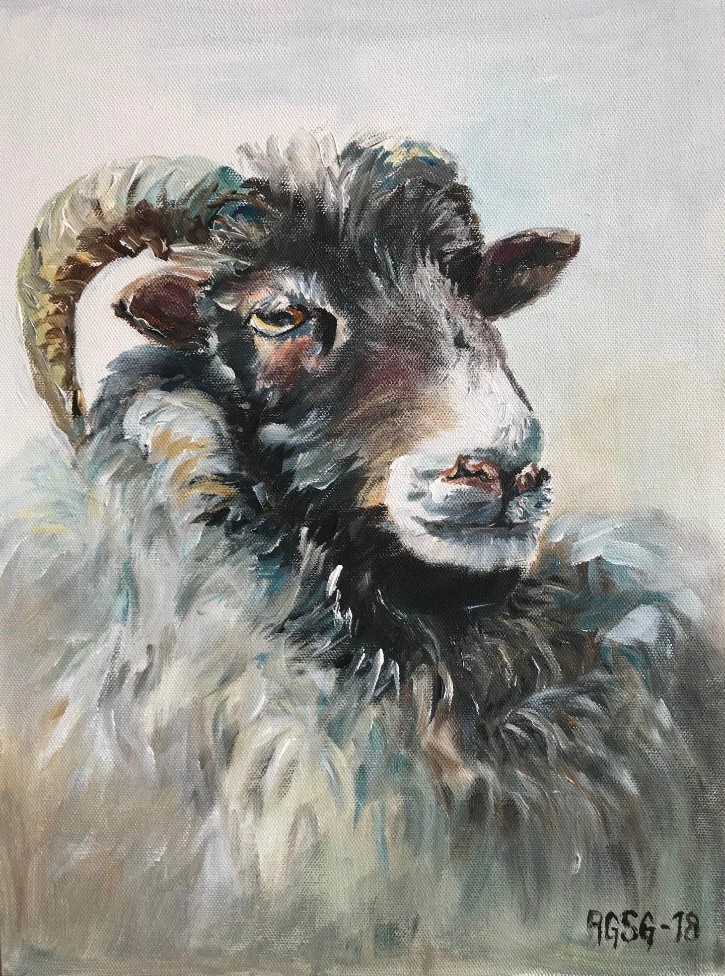 Sheep portrait No. 5