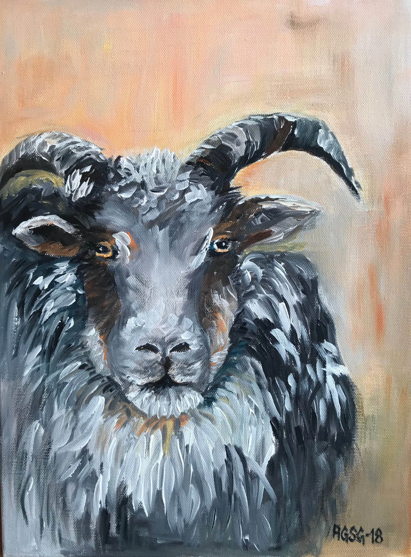 Sheep portrait No. 6