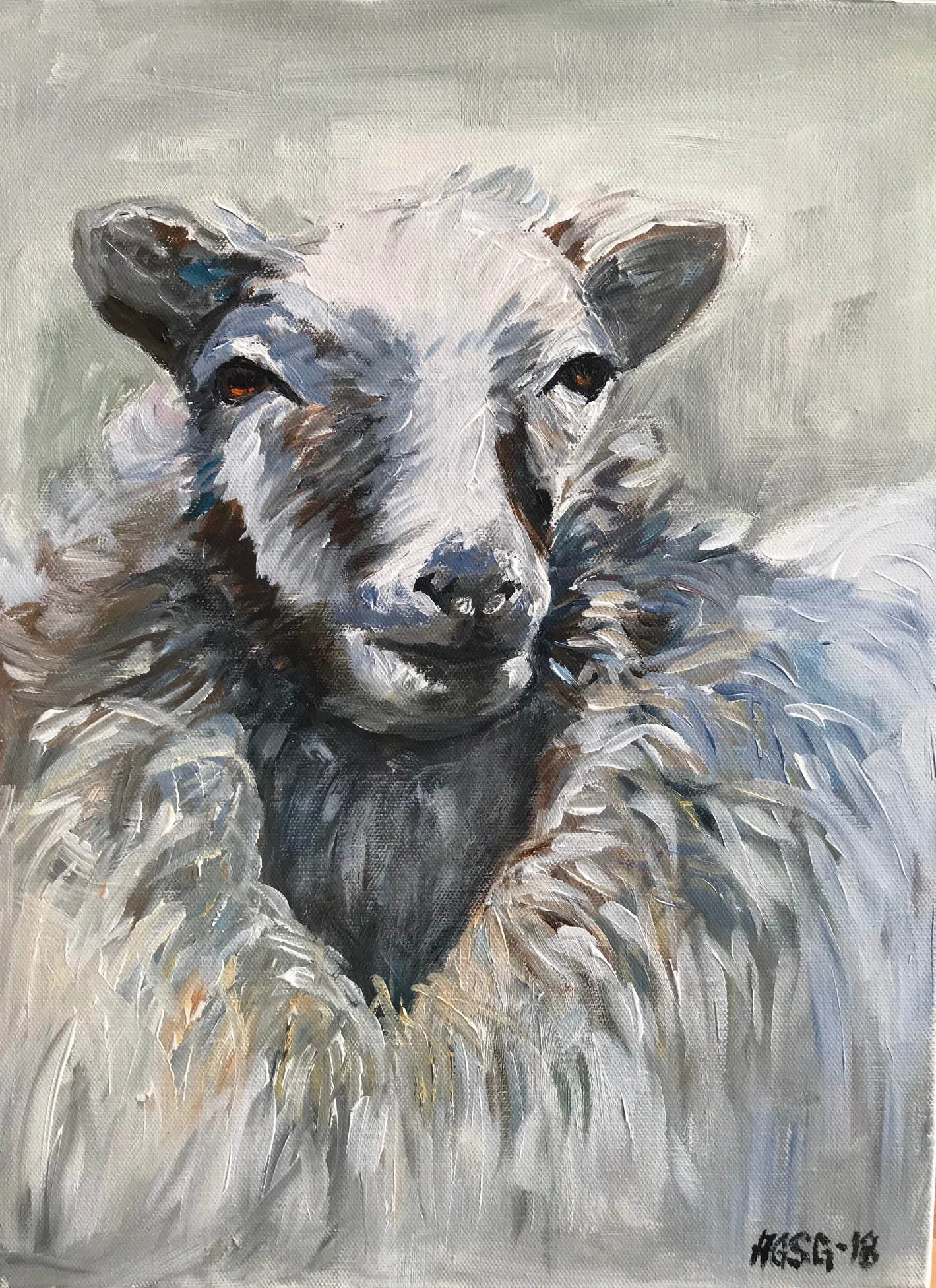 Sheep portrait No. 7