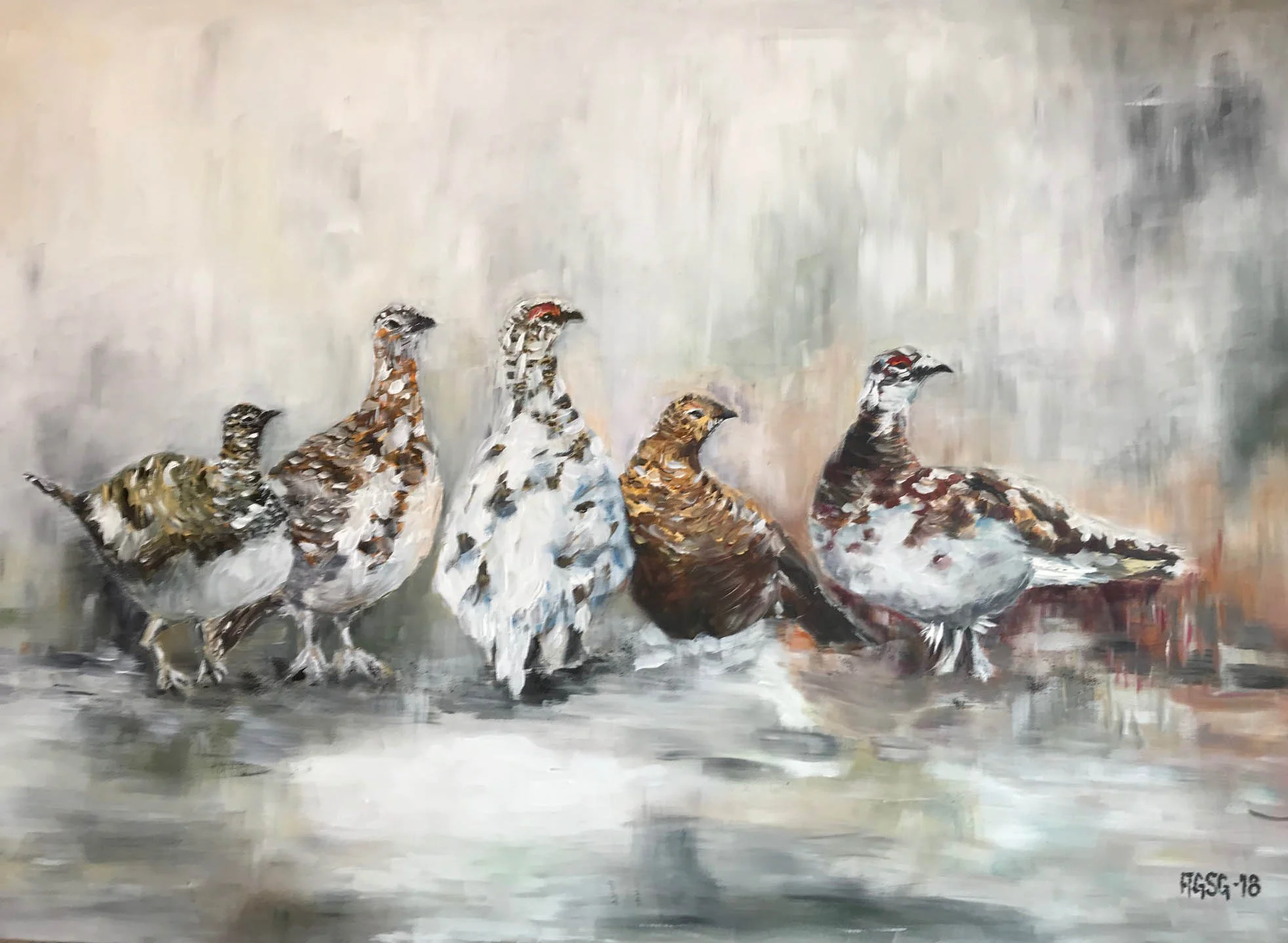 5 Rock Grouse, early spring