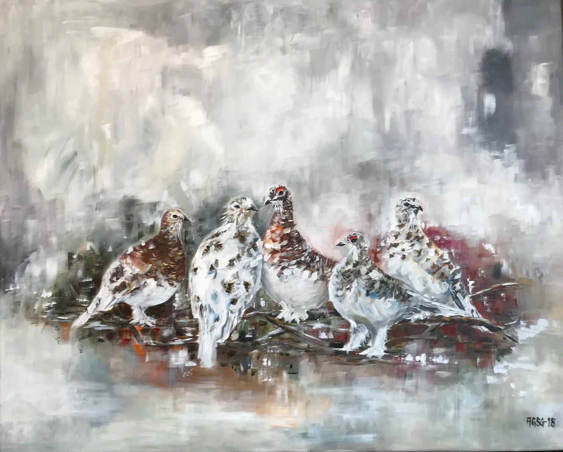 L.Lagopus first snow