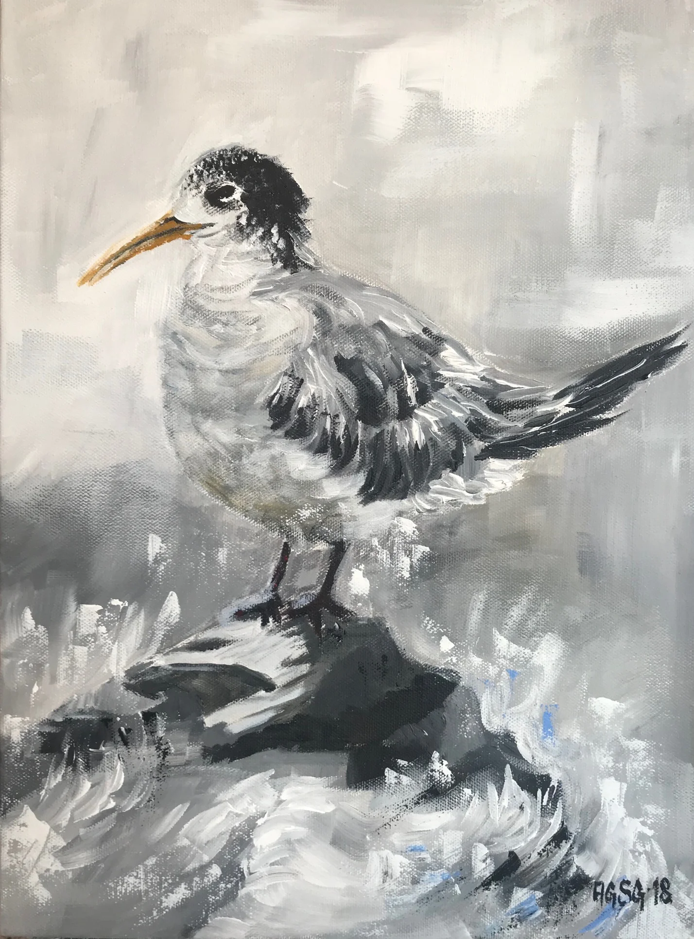 Crested Tern, acrylic on canvas 30x40 kr.3500,-.jpg