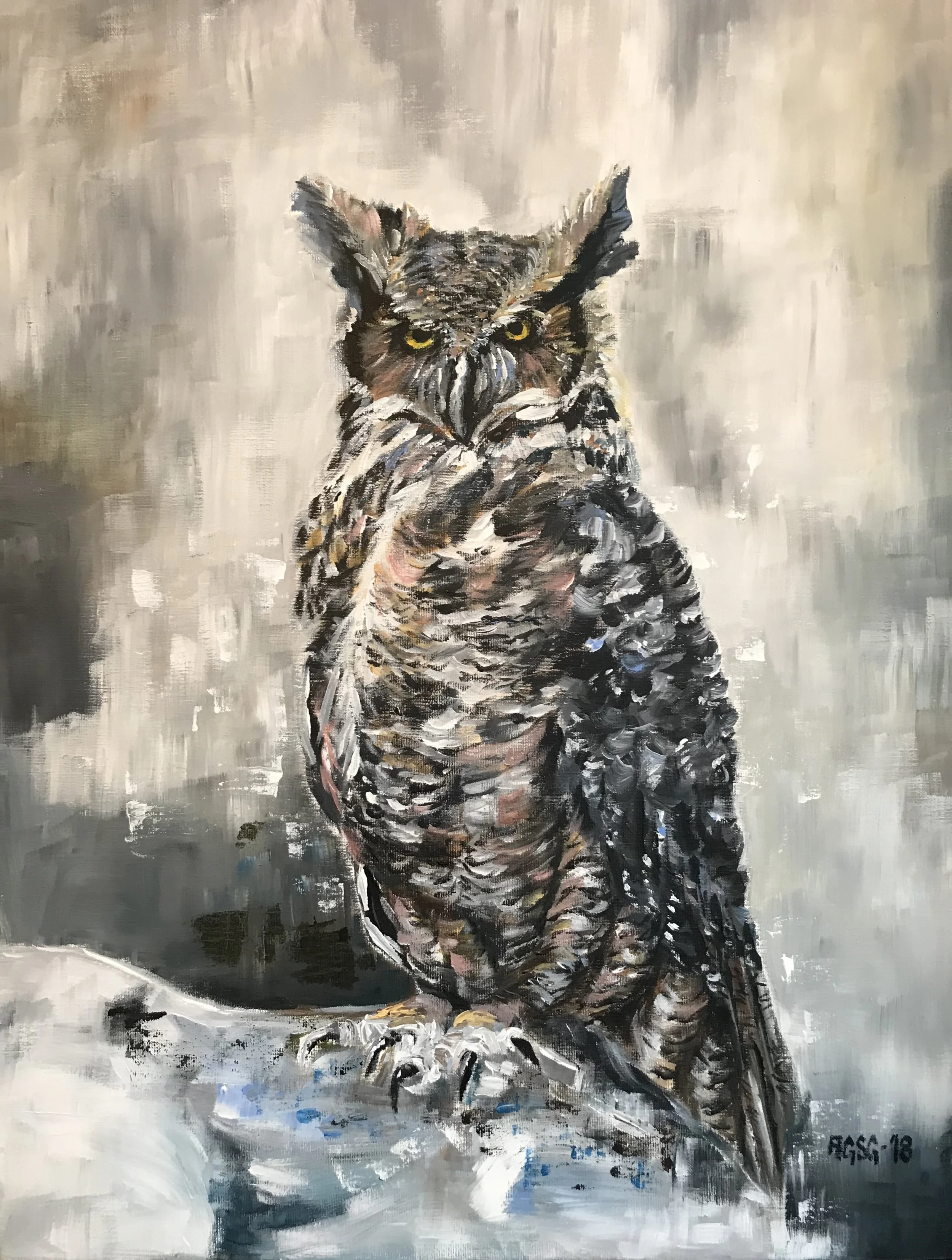 Eurasia Eagle Owl/Bubo Bubo