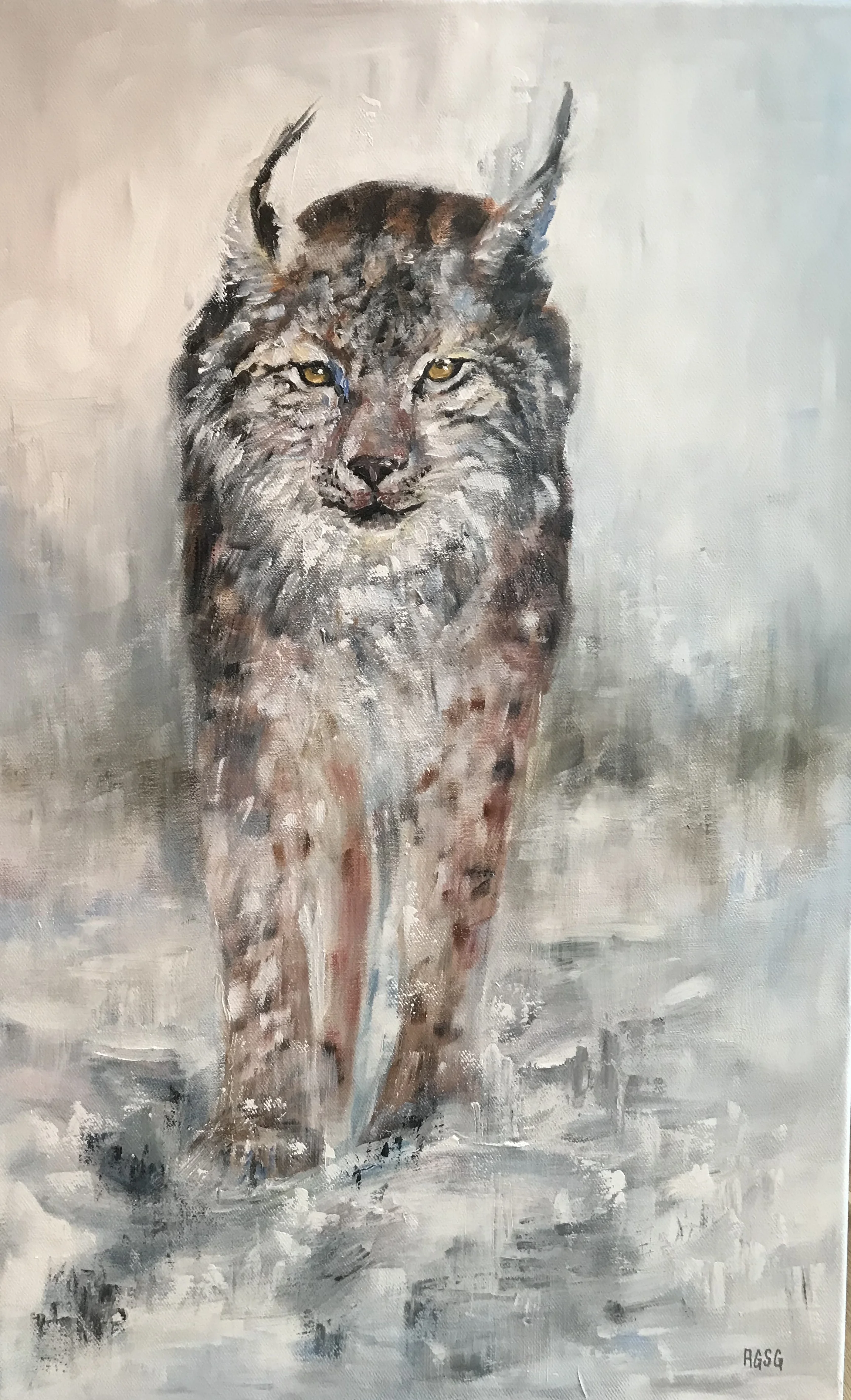 Eurasian Lynx in Snow