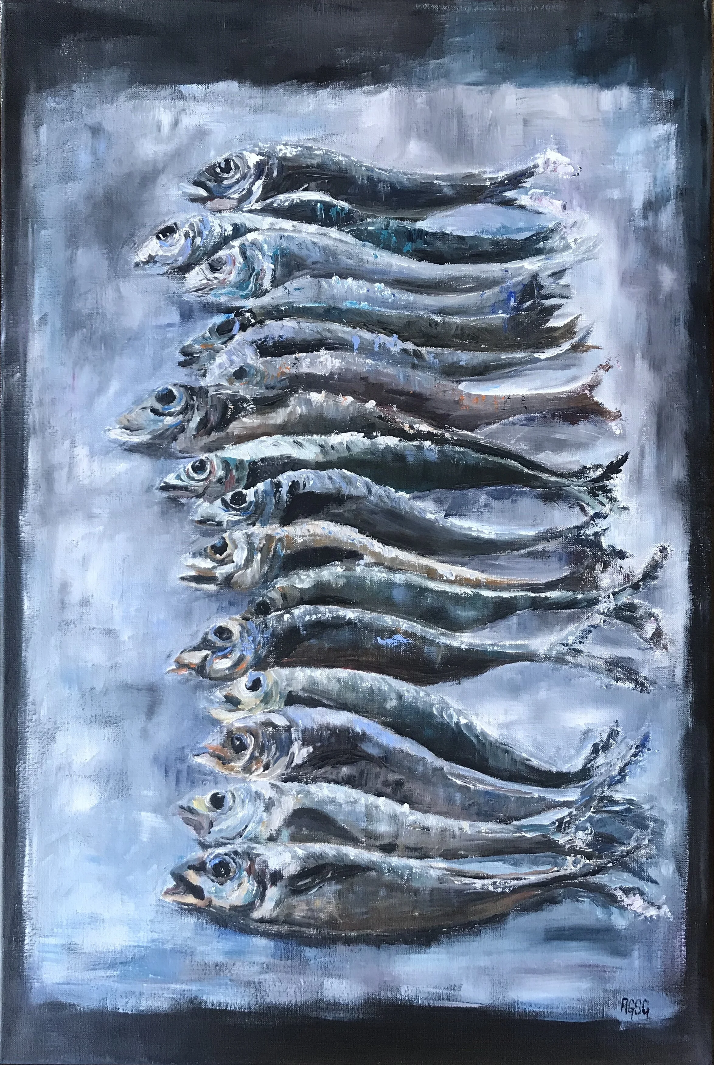 Todays Mackerel catch