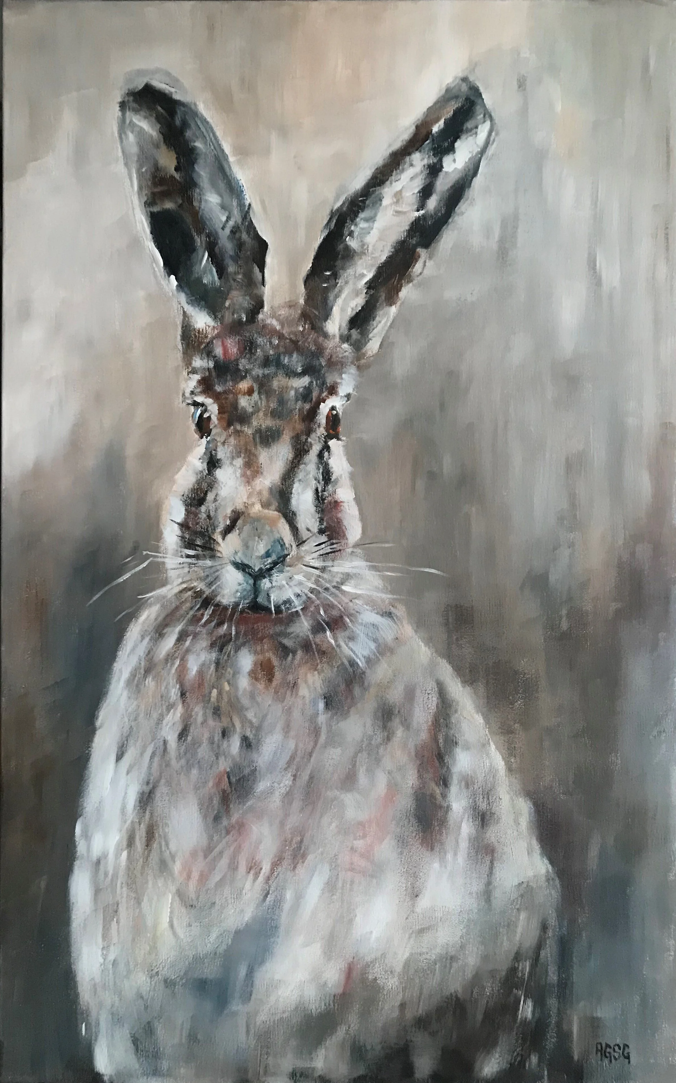 Hare Portrait