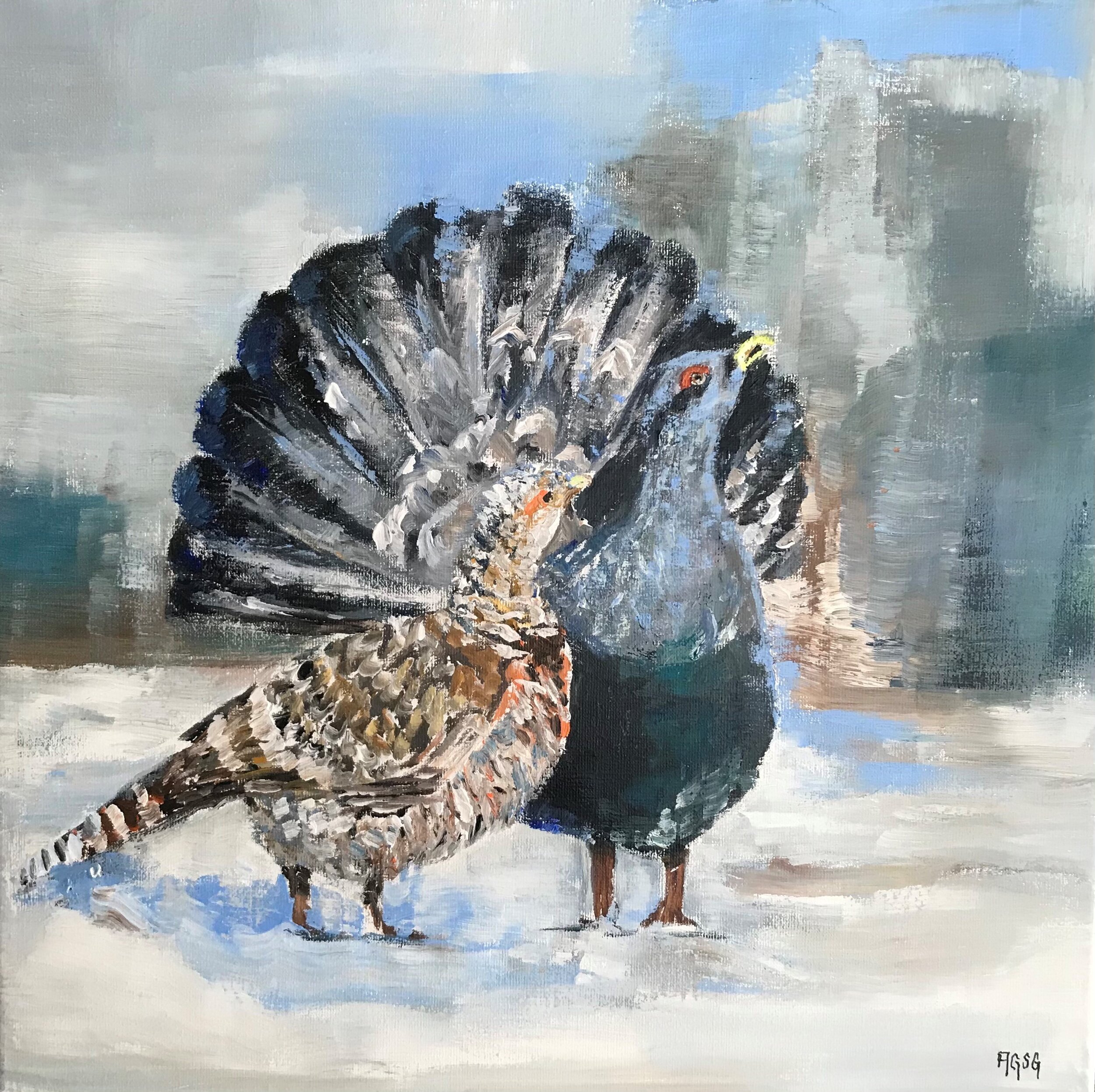 Capercaillie Mating Game